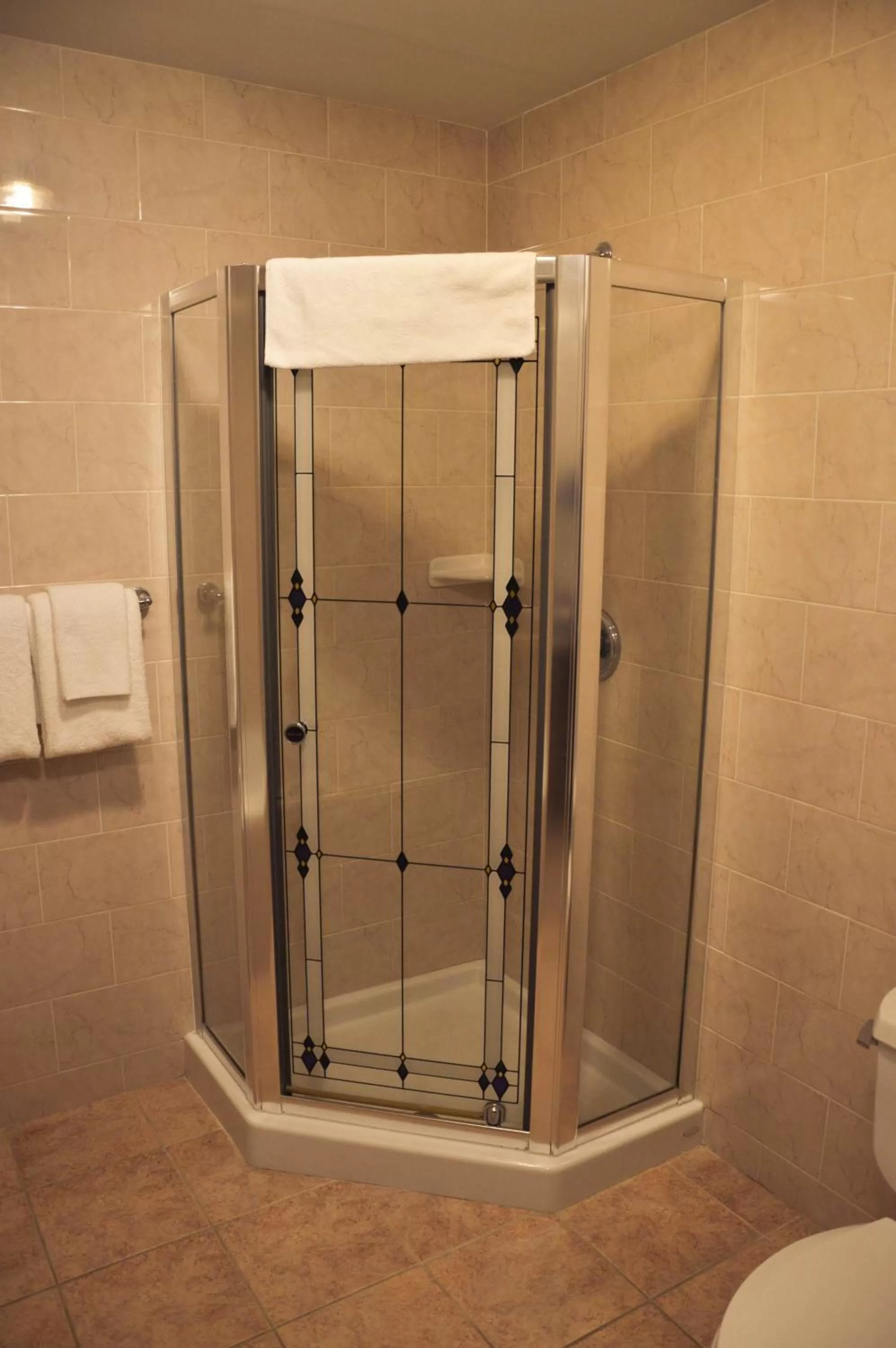 Shower in Belvedere Inn Schenectady - Albany
