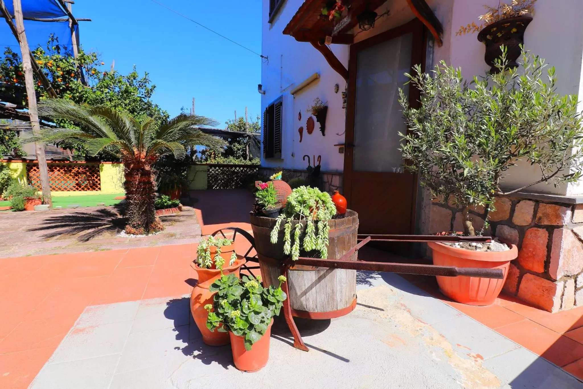 Garden in La Maison de Titty & Margherita