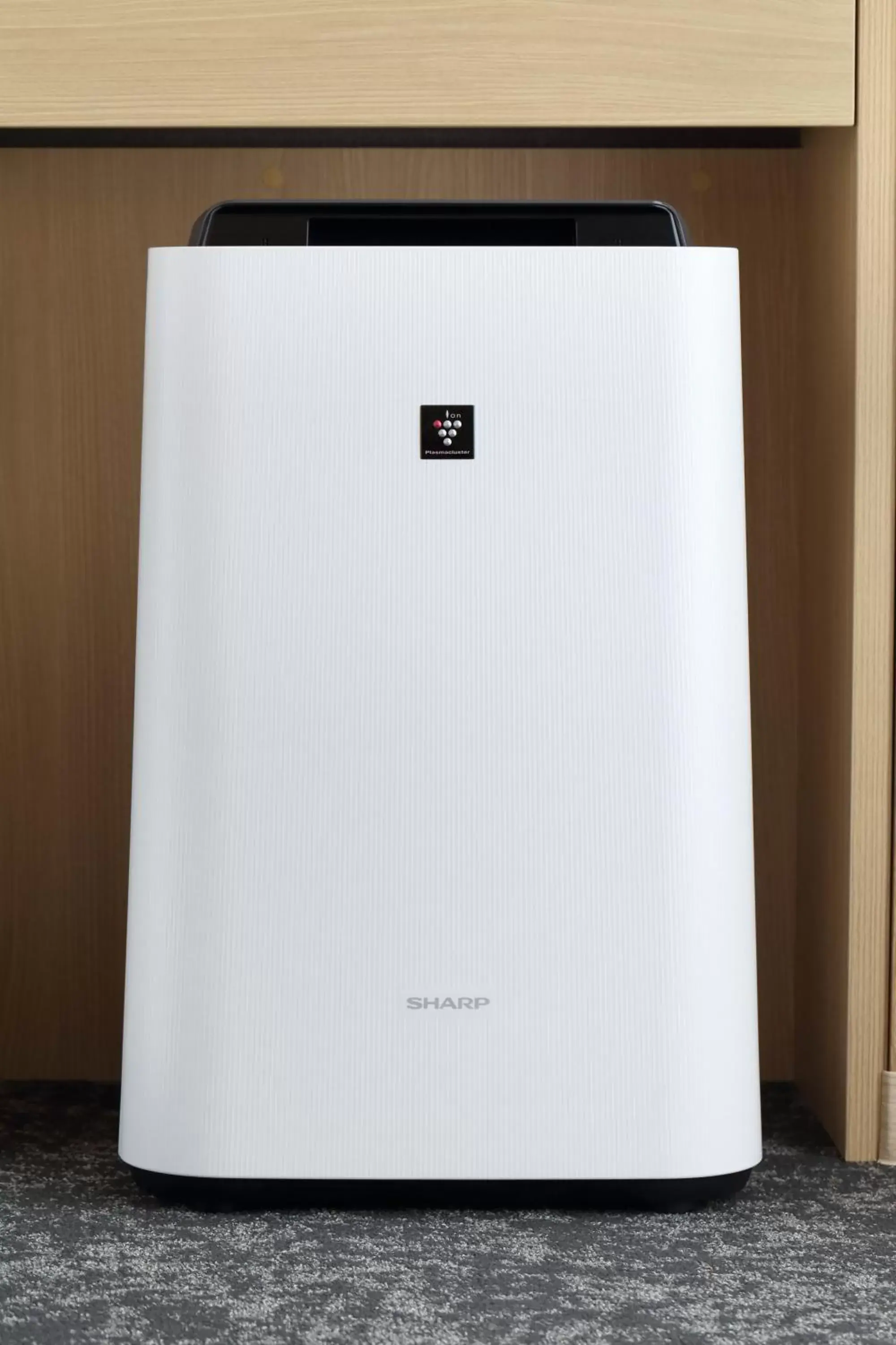 Quiet street view, TV/Entertainment Center in Henn na Hotel Kansai Airport Quiet street view, TV/Entertainment Center in Henn na Hotel Kansai Airport