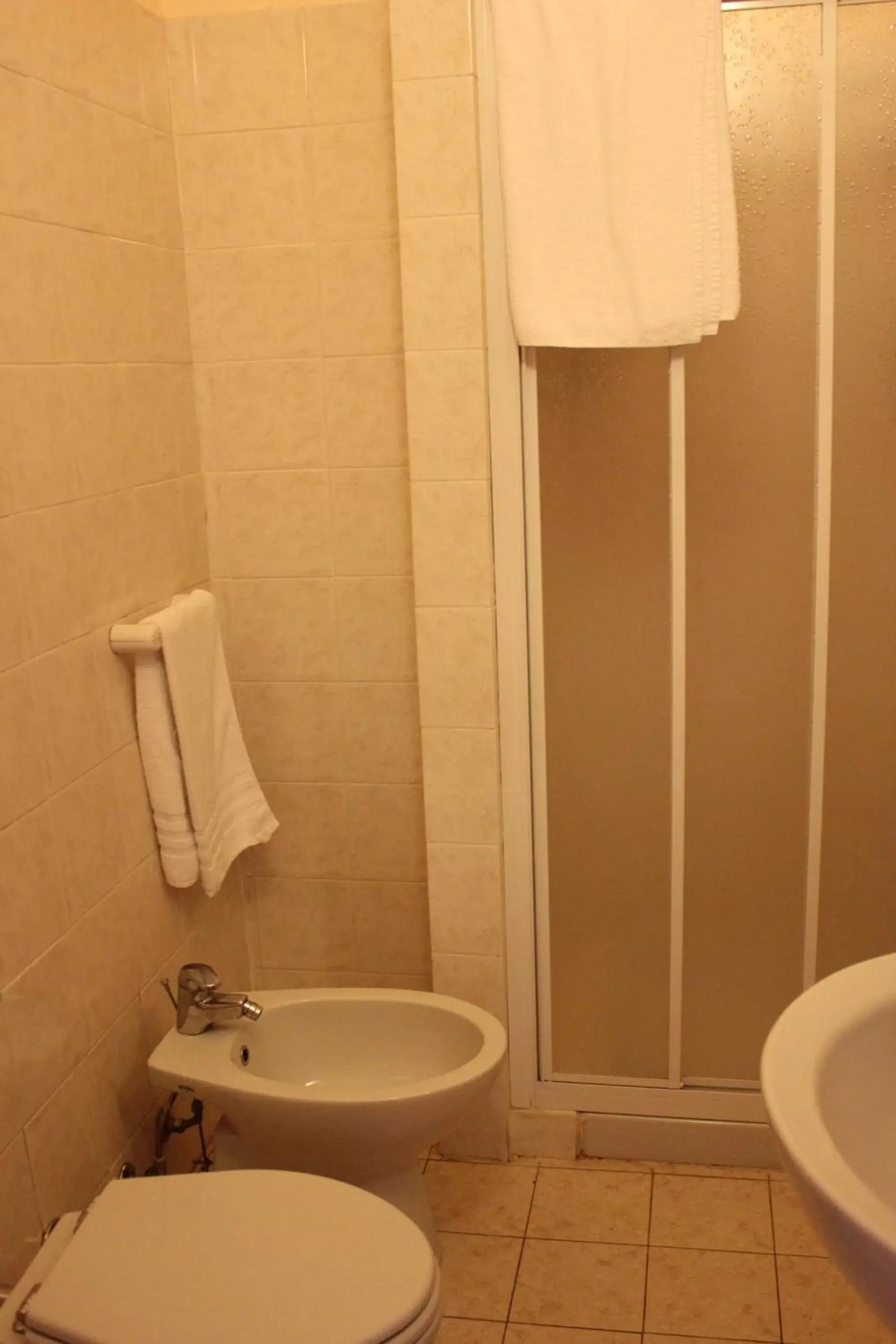 Shower, Bathroom in Hotel Legnano