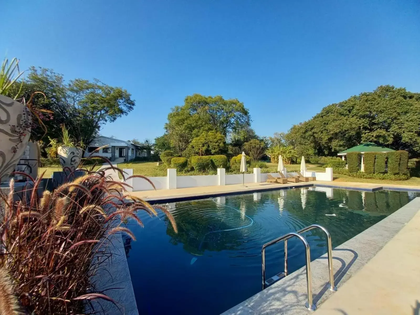 Swimming Pool in Nut Grove Manor Boutique Hotel