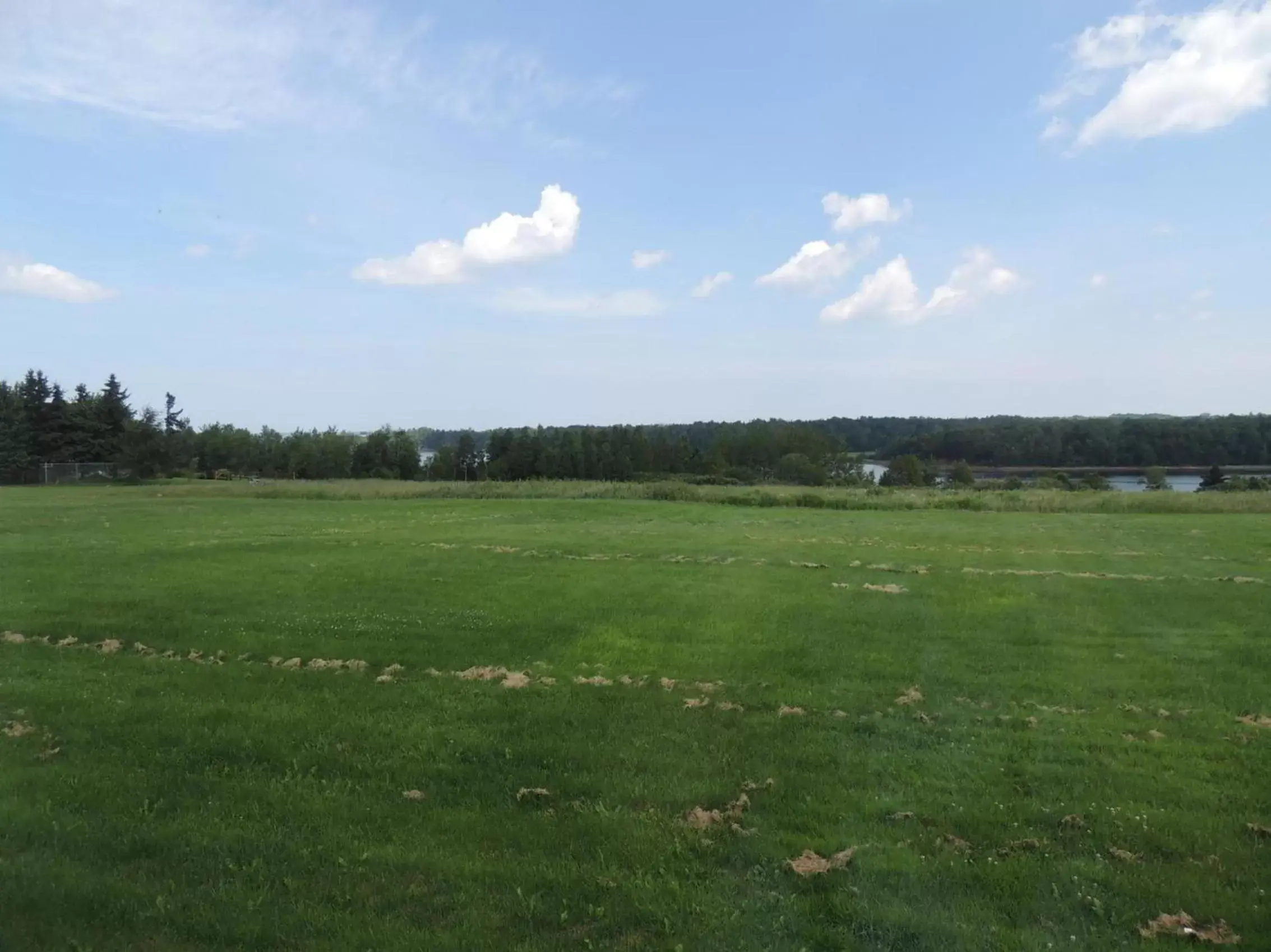 Area and facilities in Balmoral Motel