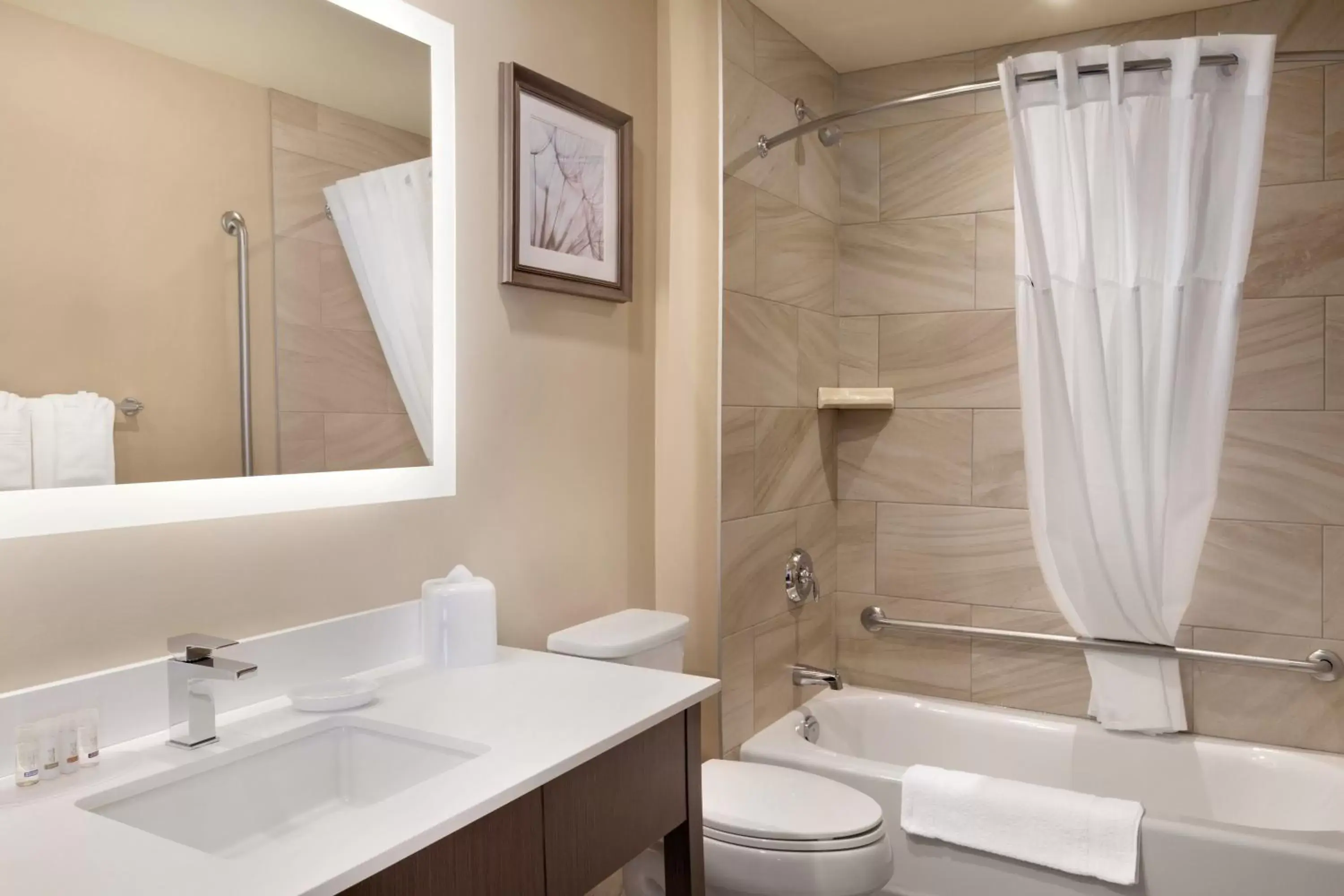 Shower, Bathroom in Airdrie Inn and Suites