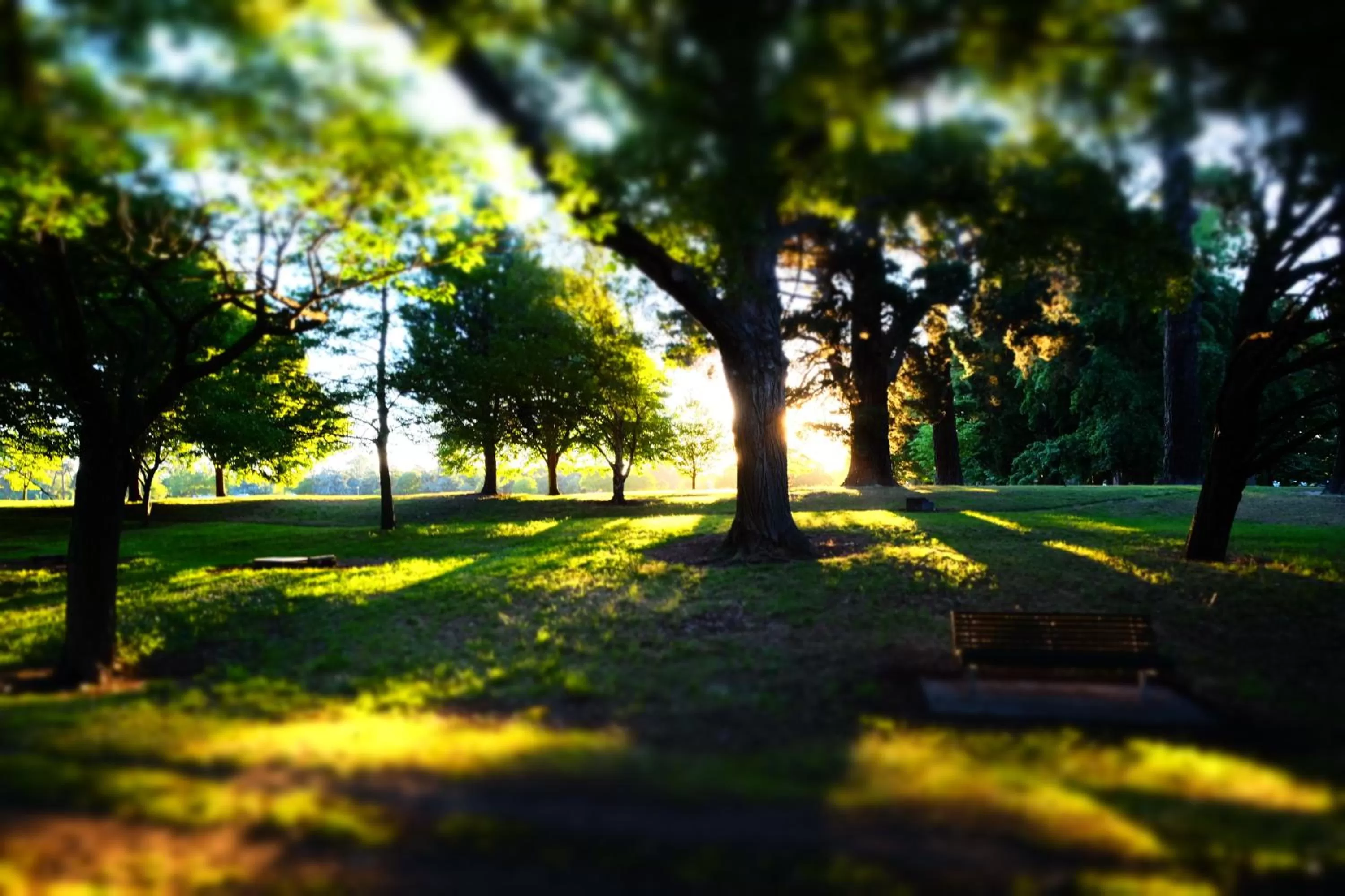 Off site in City Centre Motel