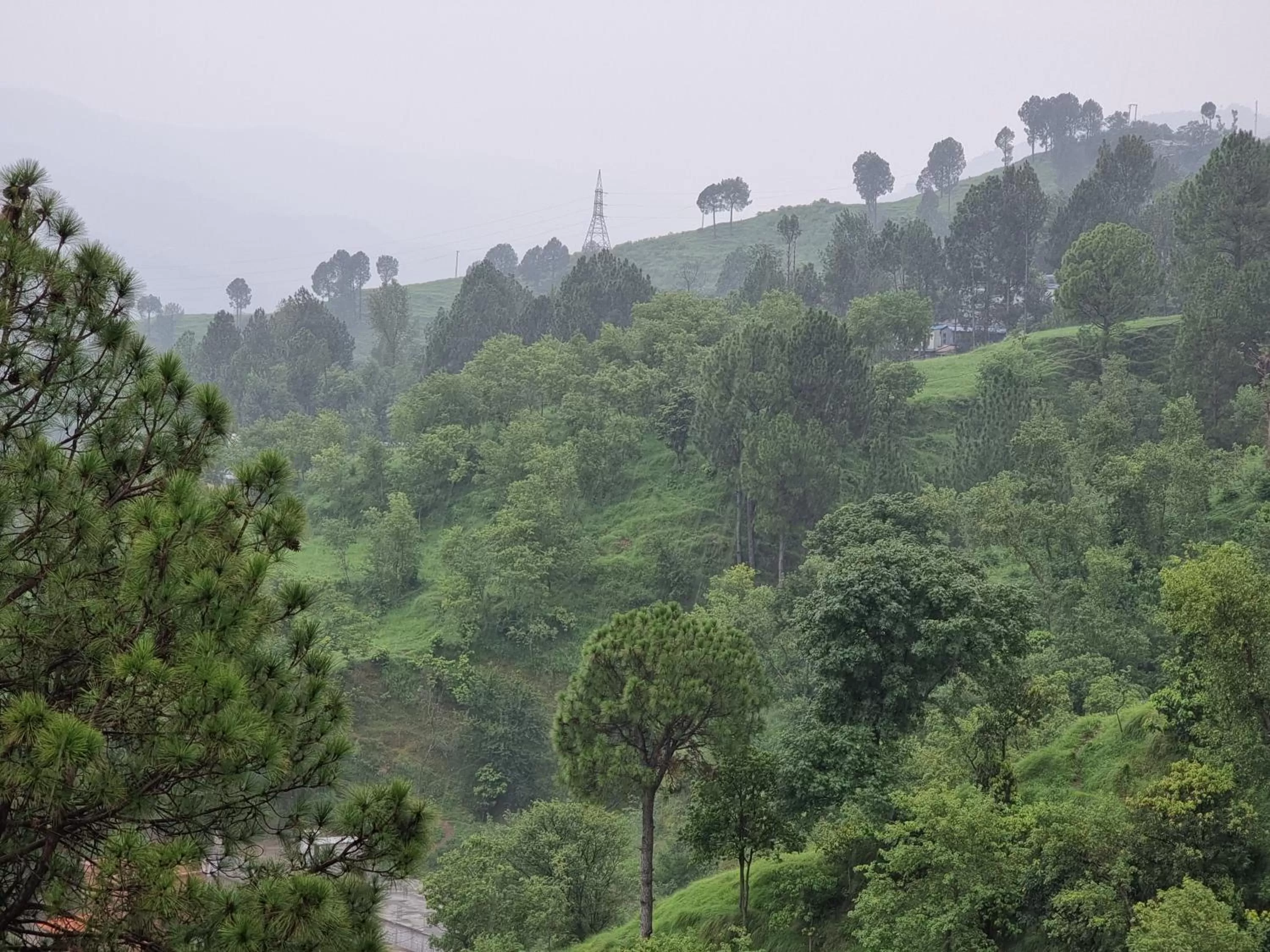 View (from property/room) in Srinagar Homes