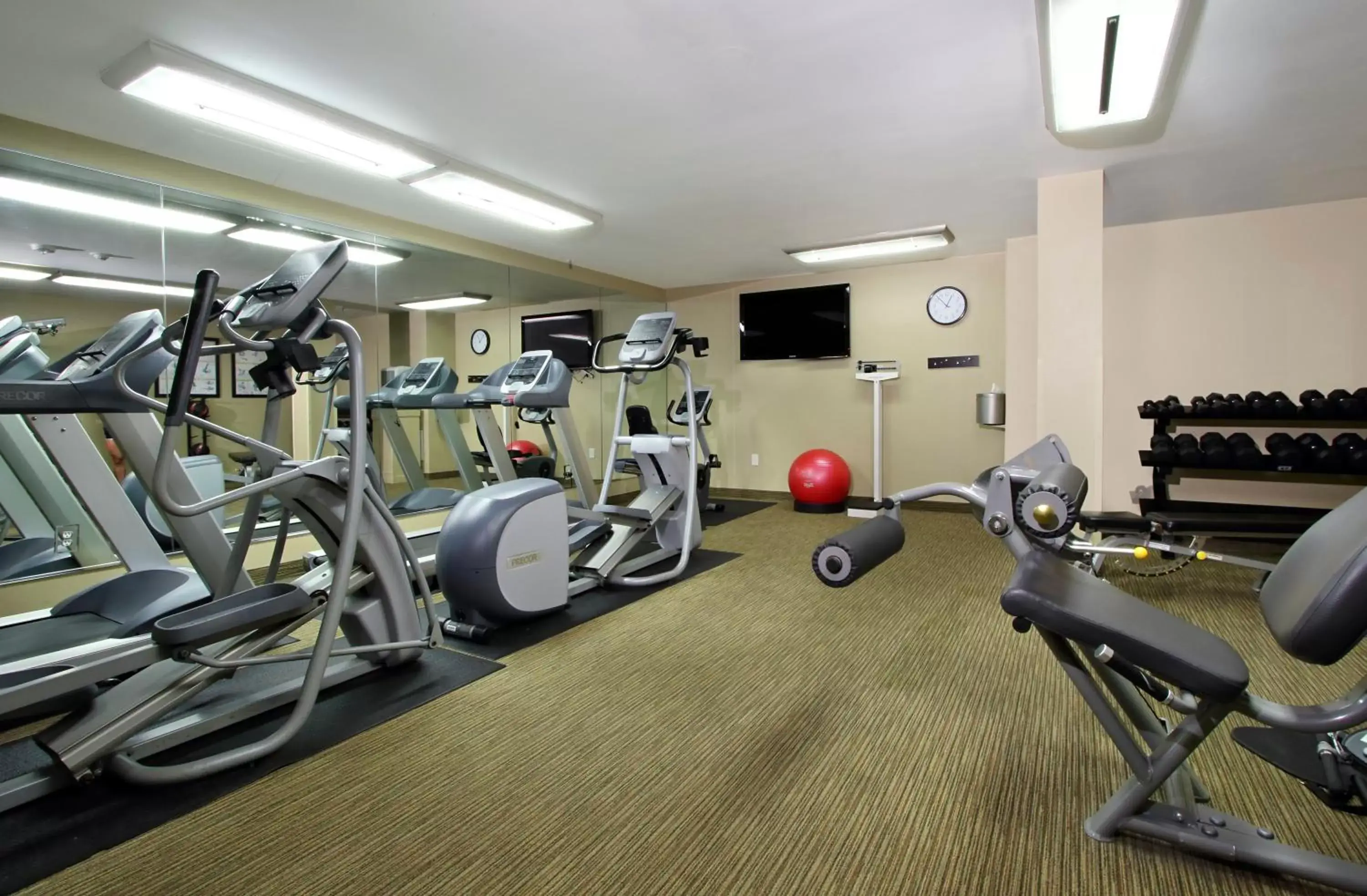 Spa and wellness centre/facilities, Fitness Center/Facilities in Holiday Inn Metairie New Orleans, an IHG Hotel