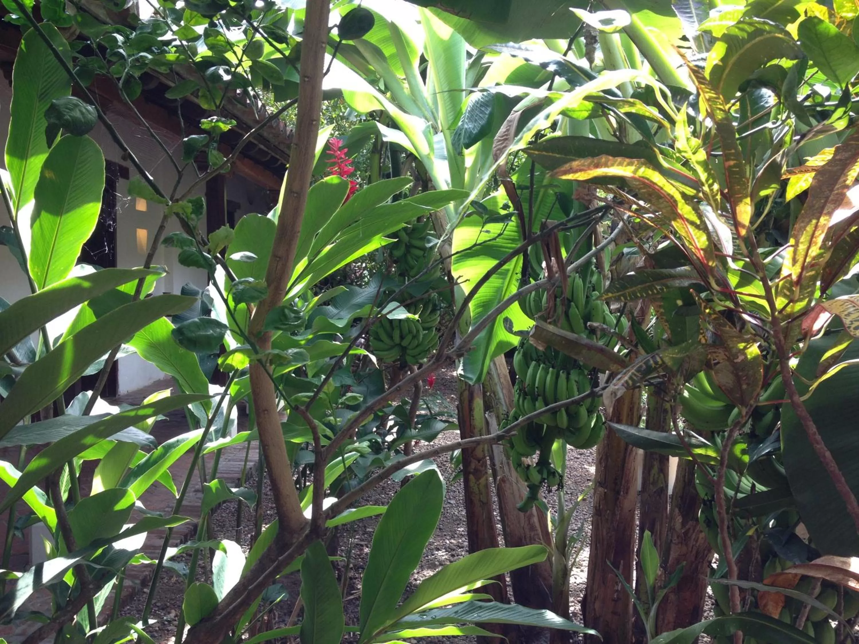 Day in Portal de la Marquesa