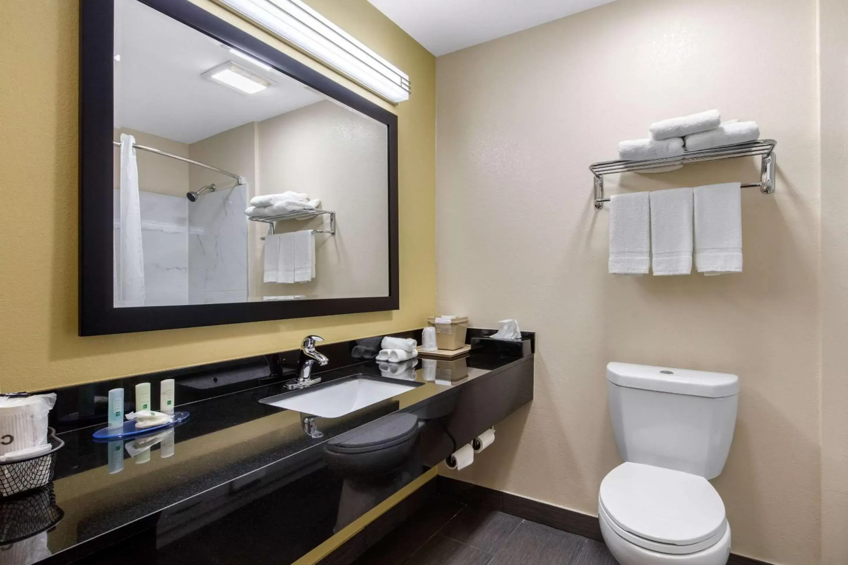 Bathroom in Quality Inn