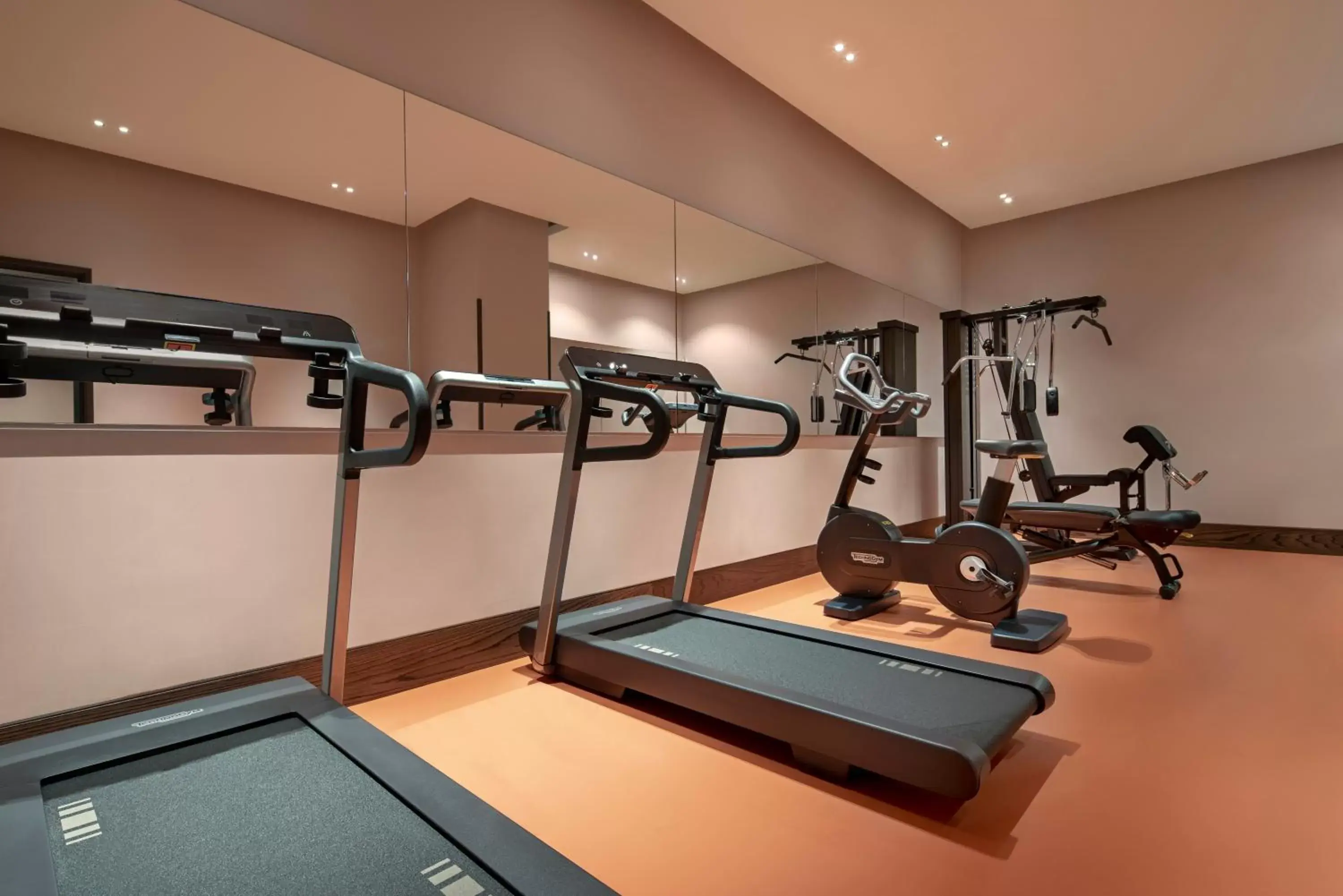 Fitness centre/facilities, Fitness Center/Facilities in Glens Palas Istanbul
