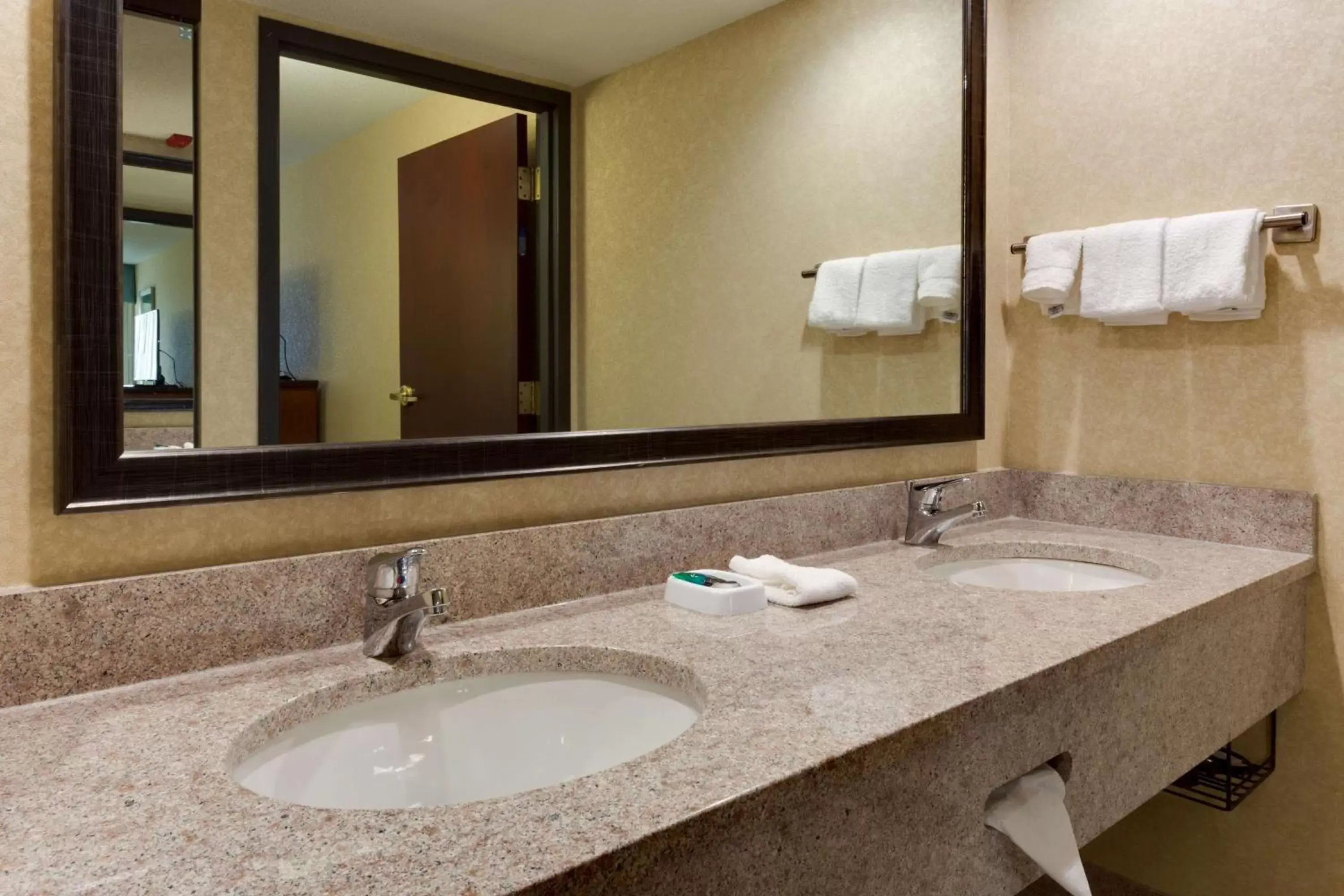 Bathroom in Drury Inn & Suites Birmingham Grandview