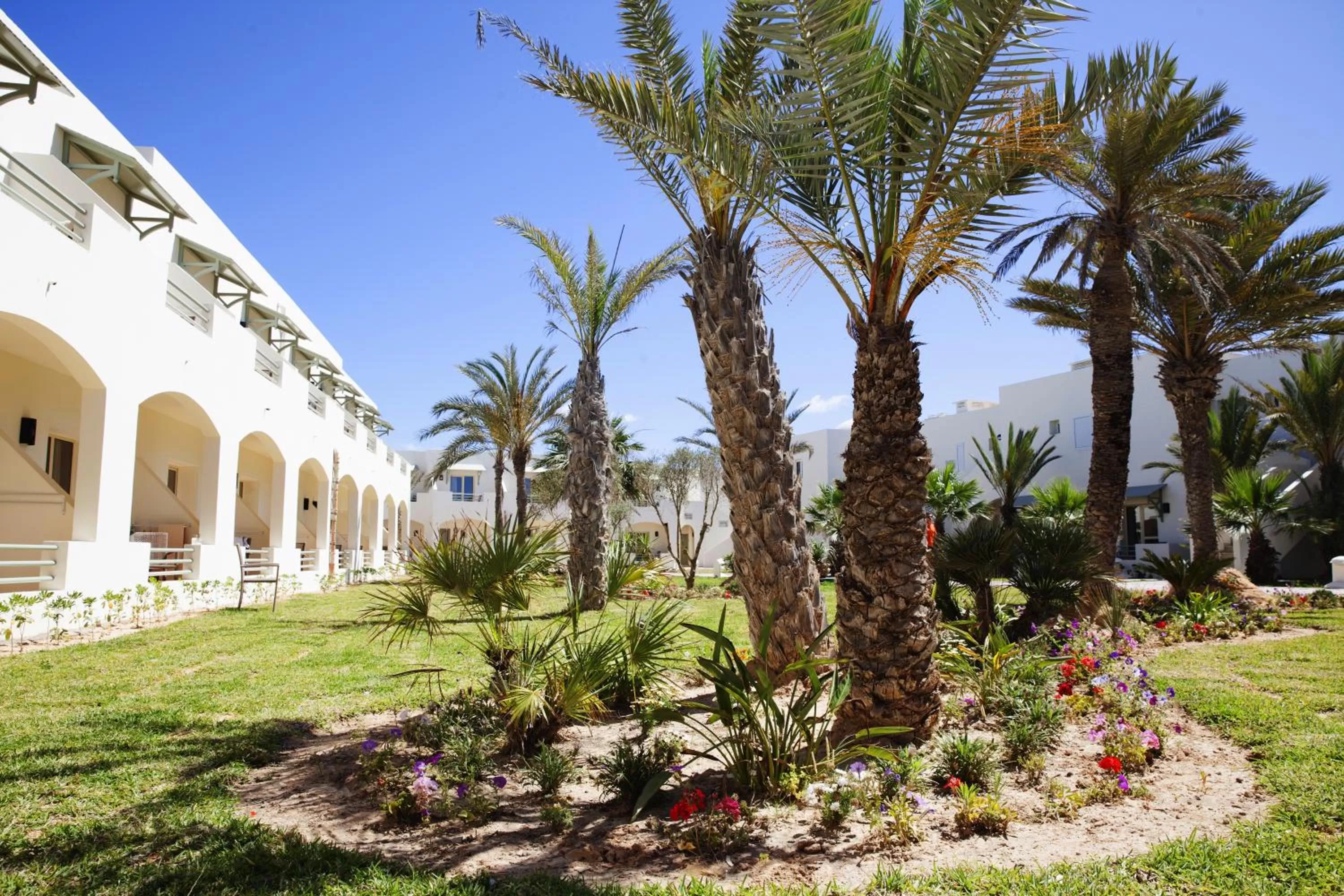 Garden in ROBINSON DJERBA BAHIYA - All Inclusive