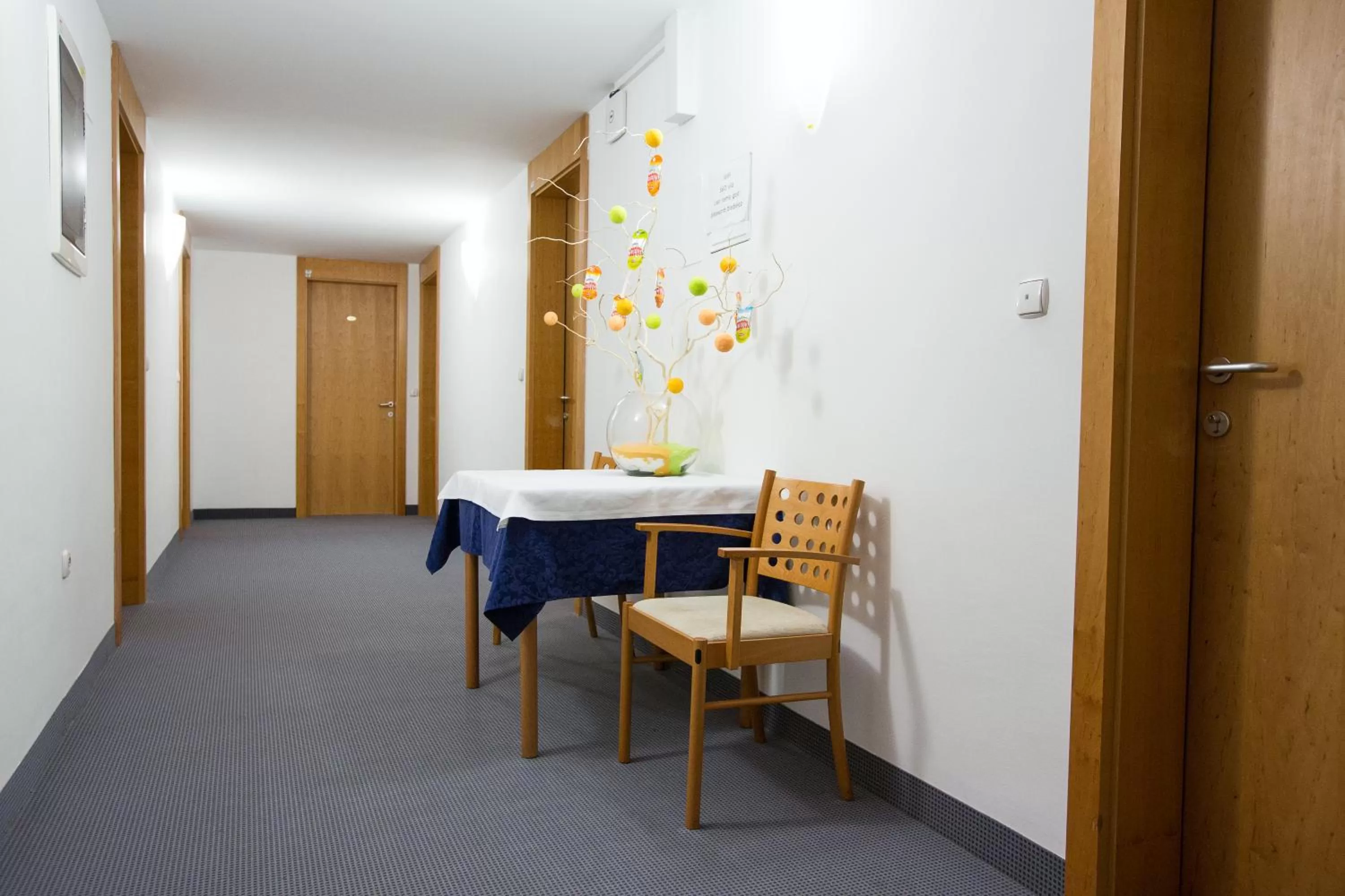 Other in Hotel GH Kolinska