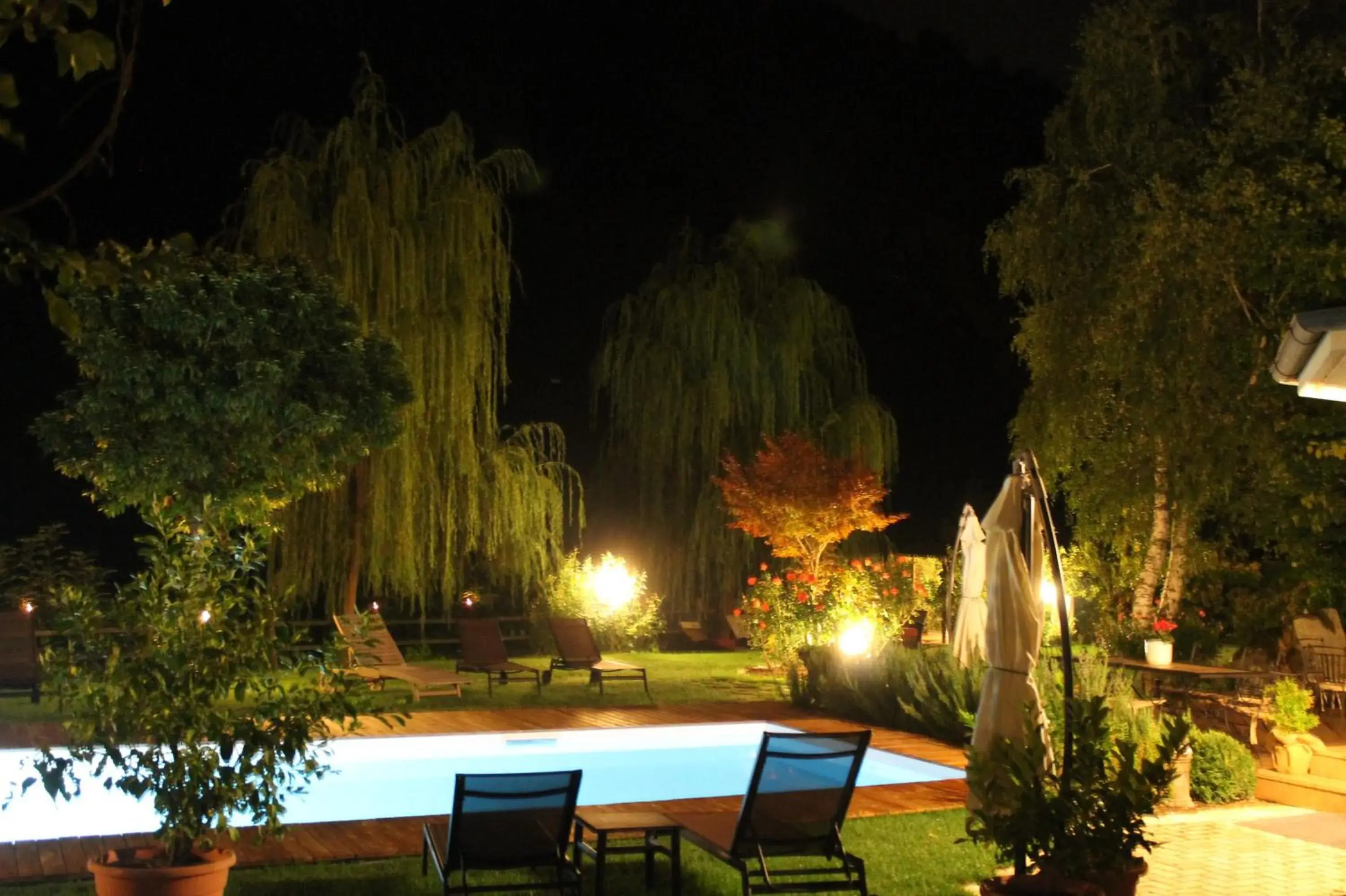 Patio, Swimming Pool in Hotel Calvi