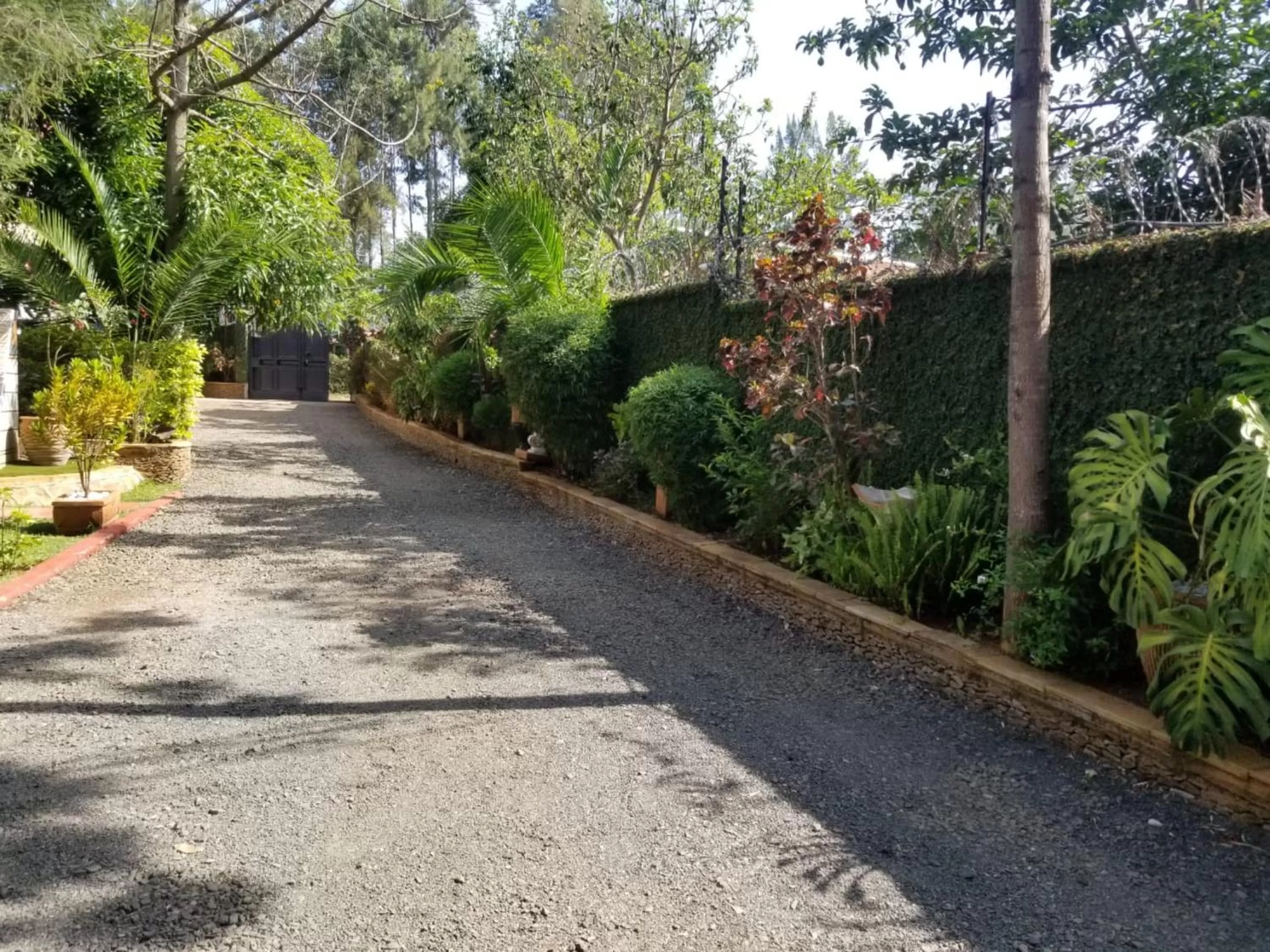 Day in Lovely Garden Guest Home