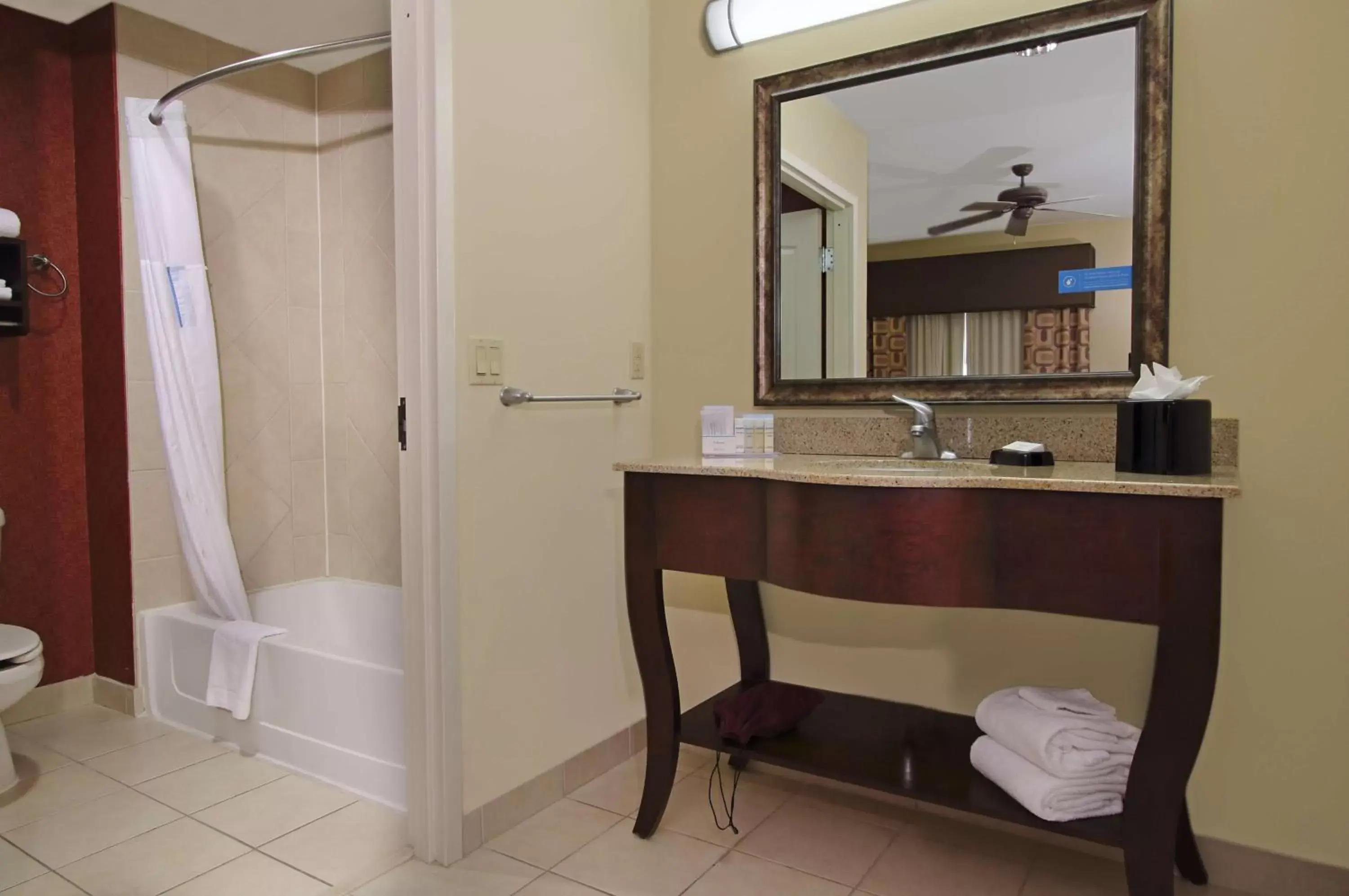 Bathroom in Hampton Inn & Suites Conroe I 45 North