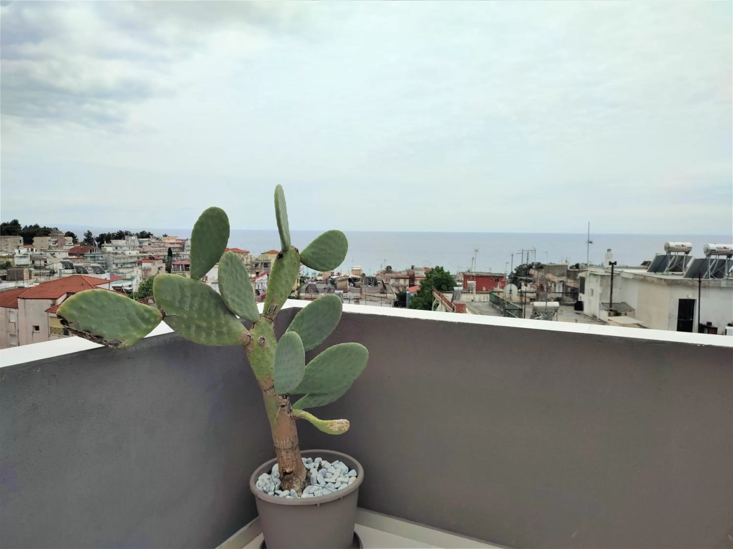 View (from property/room) in Light Blue Hotel