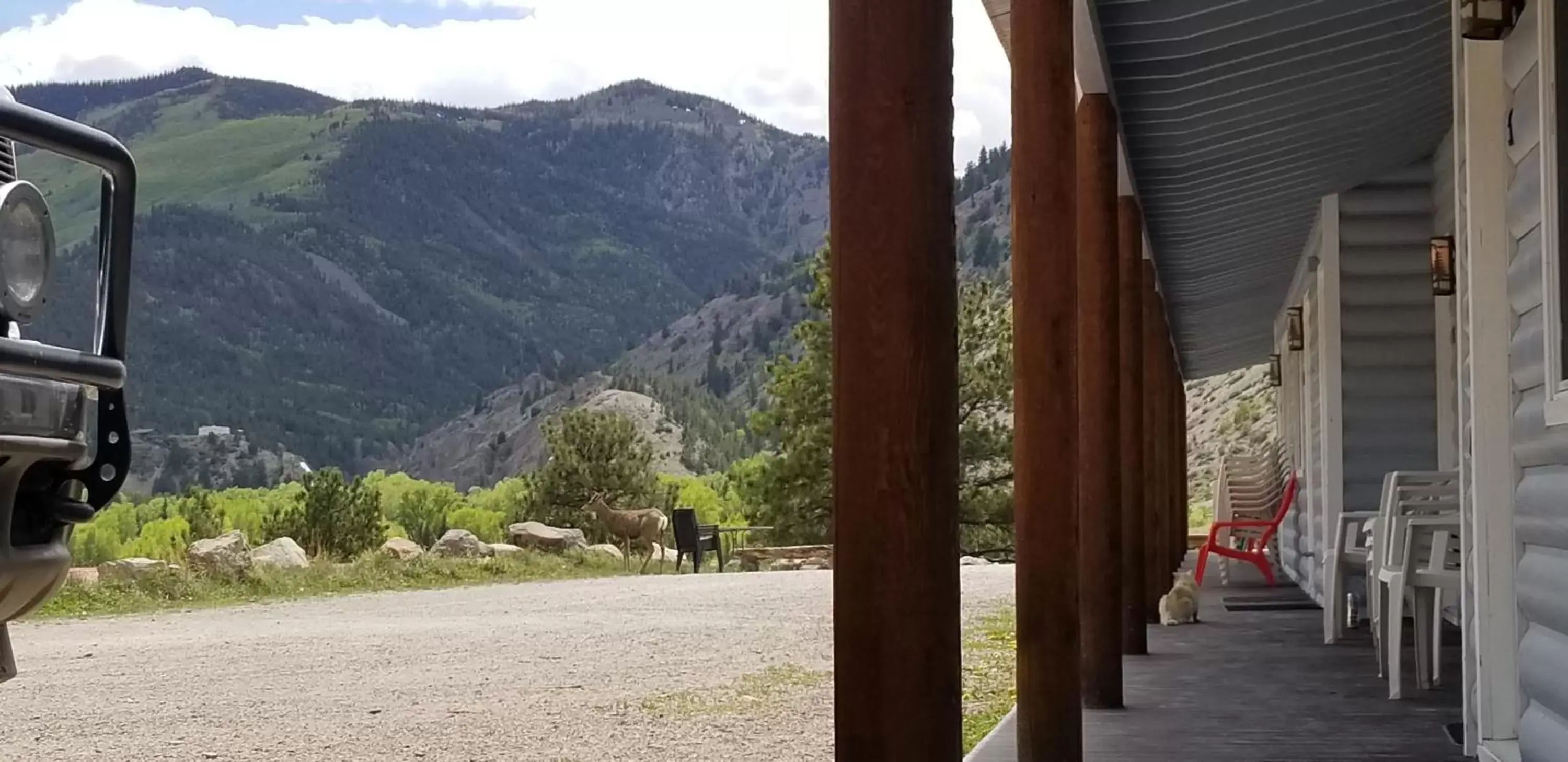 Property building, Mountain View in Alpine Moose Lodge