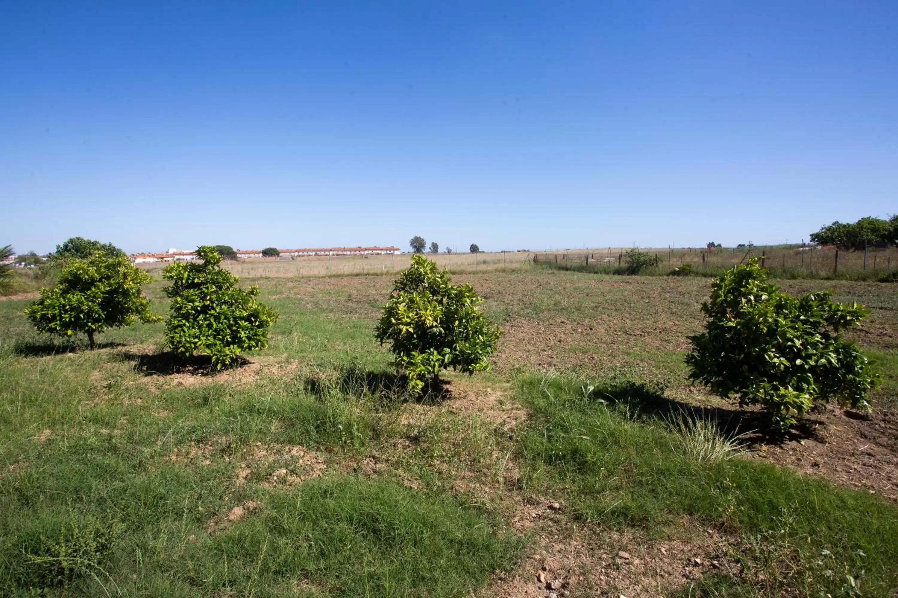 Natural landscape in La Casa del Torreón