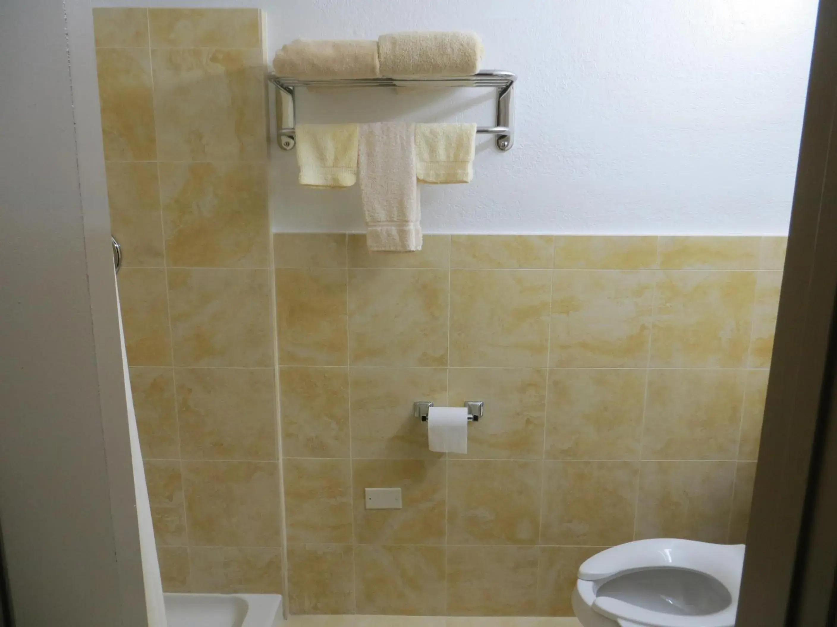 Shower, Bathroom in Budget Inn Lake Wales
