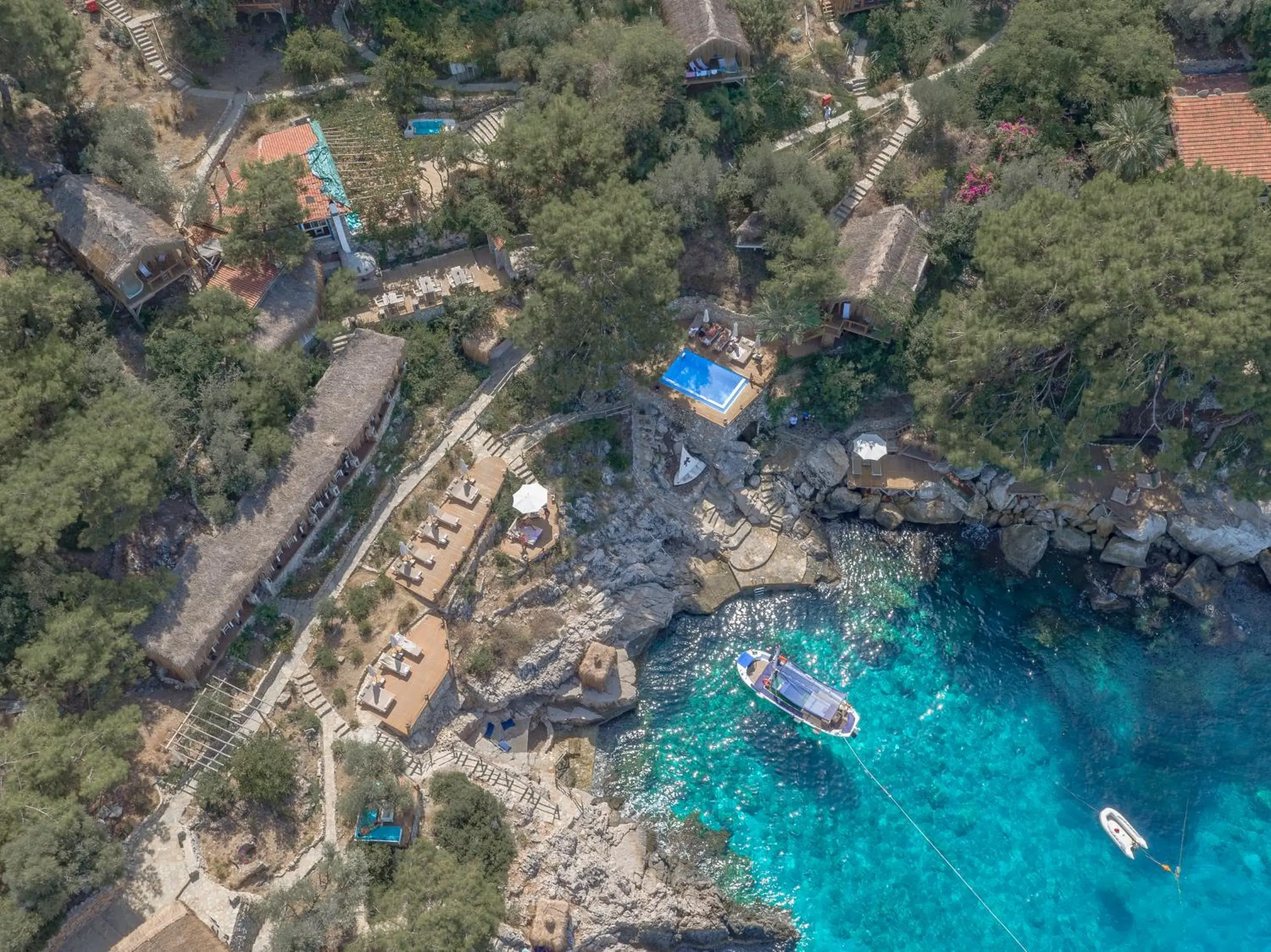 Pool view, Bird's-eye View in Perdue Hotel