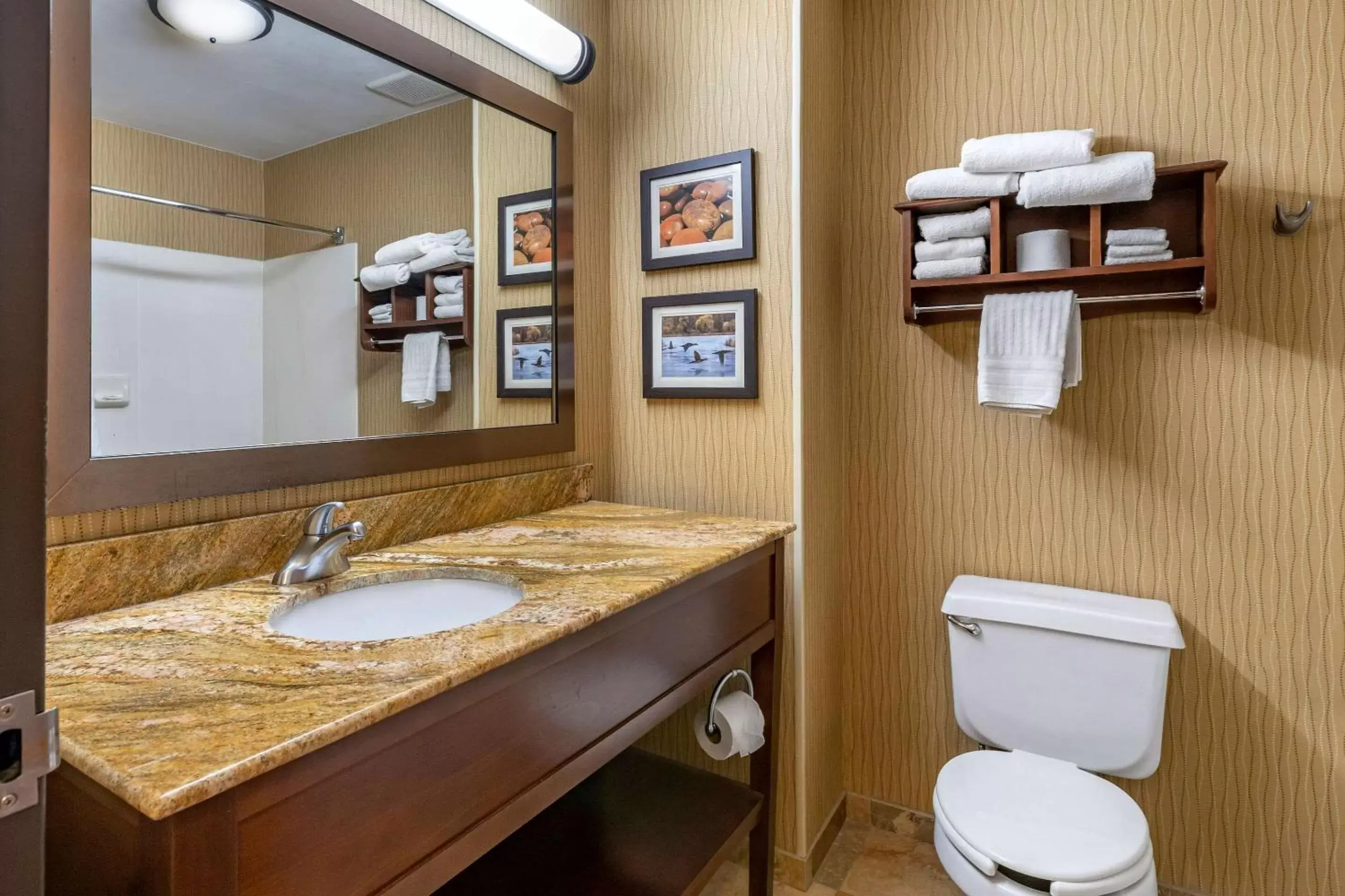 Bathroom in Comfort Inn Wings Stadium