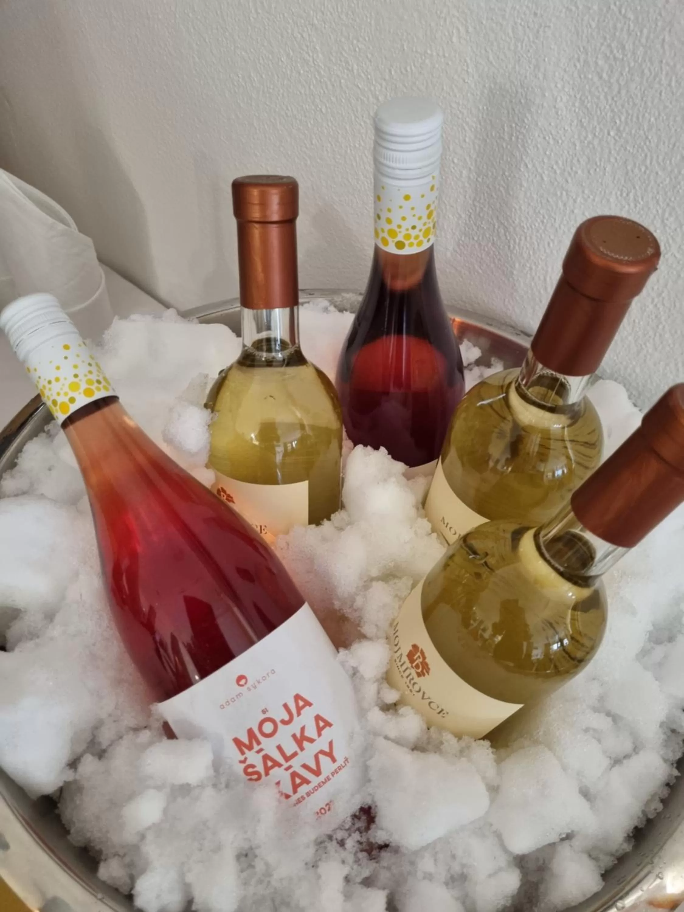 Lounge or bar in Hotel Villa Siesta