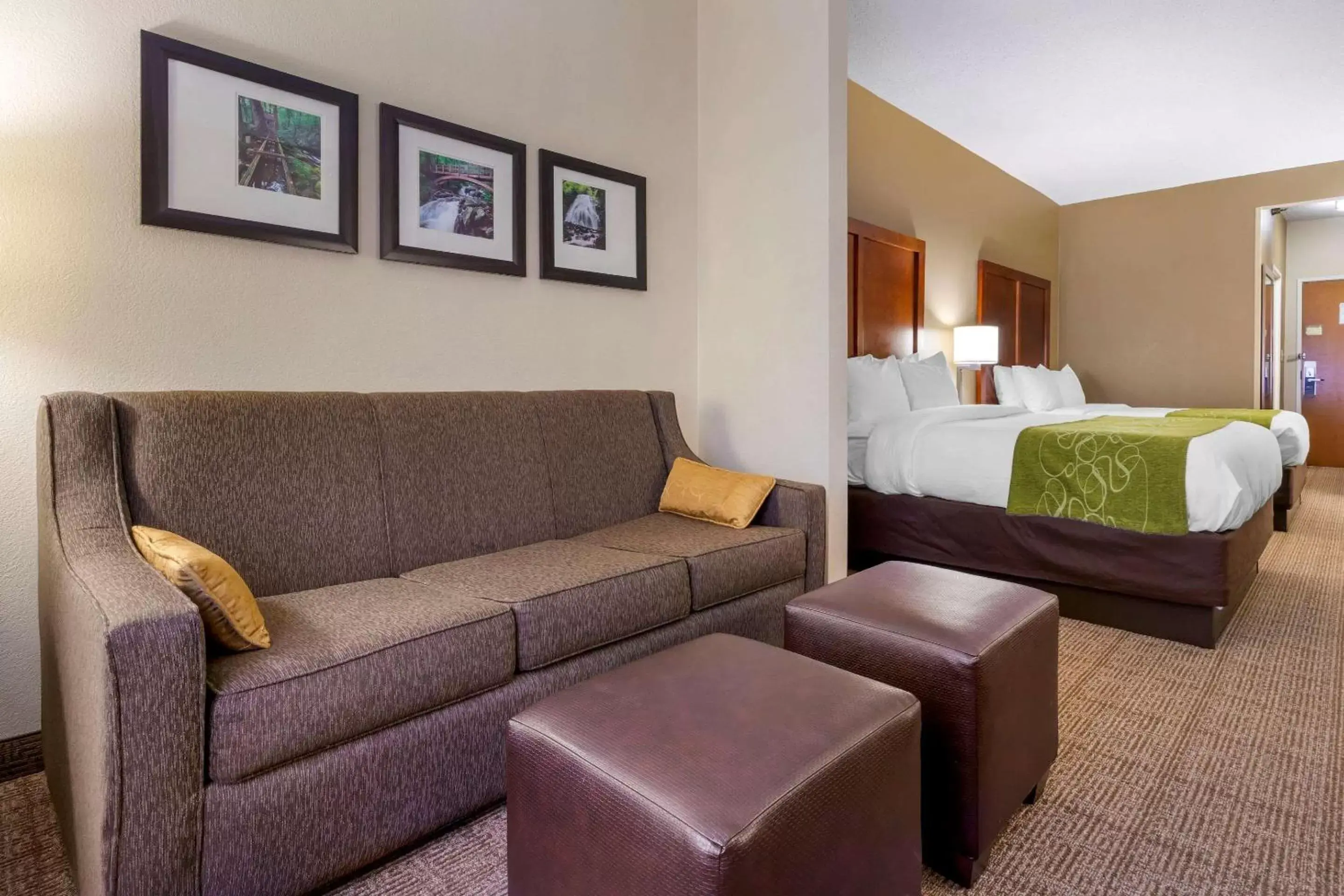 Photo of the whole room in Comfort Suites Boone - University Area