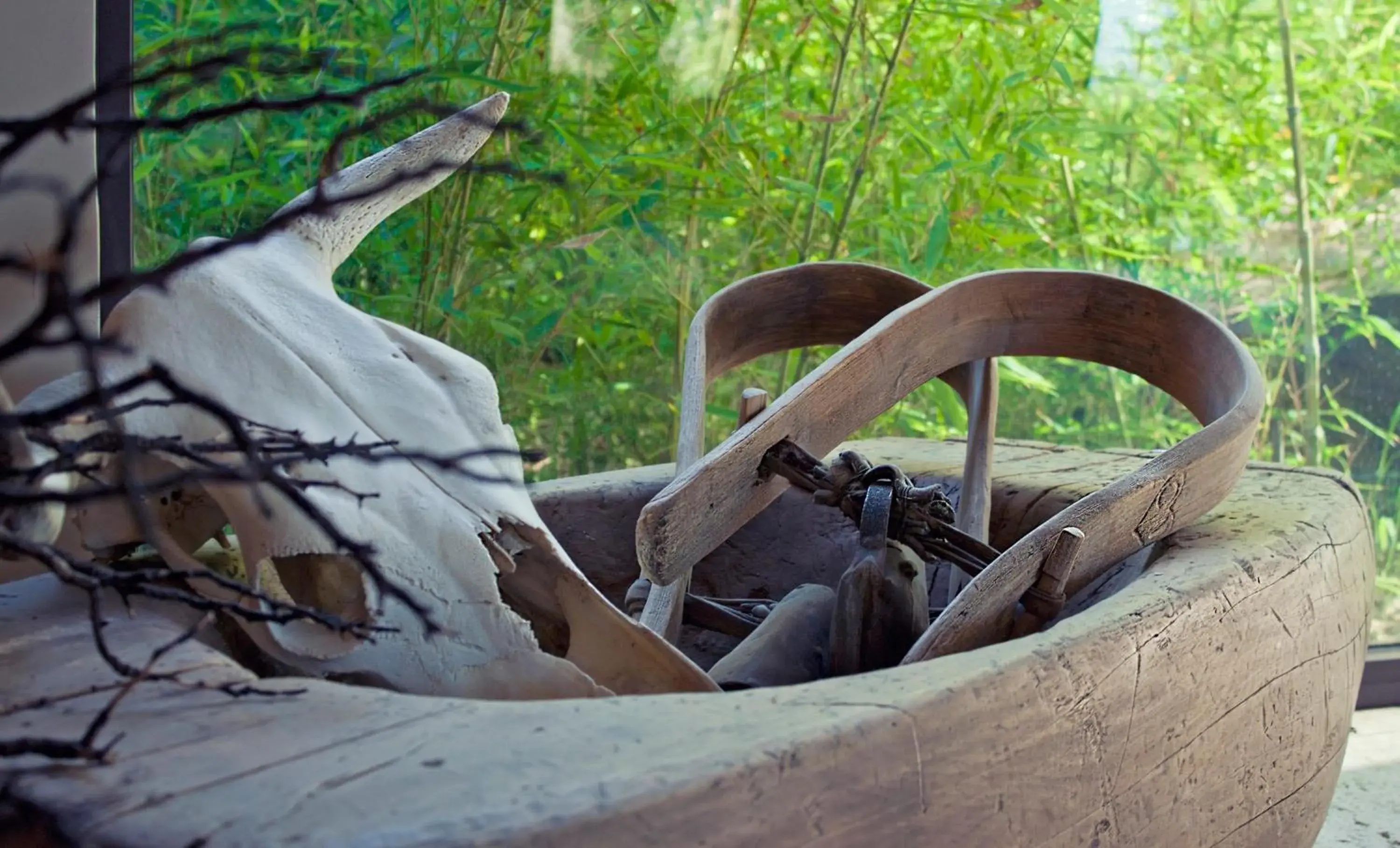 Decorative detail in Vallegrande Nature Resort by Geocharme