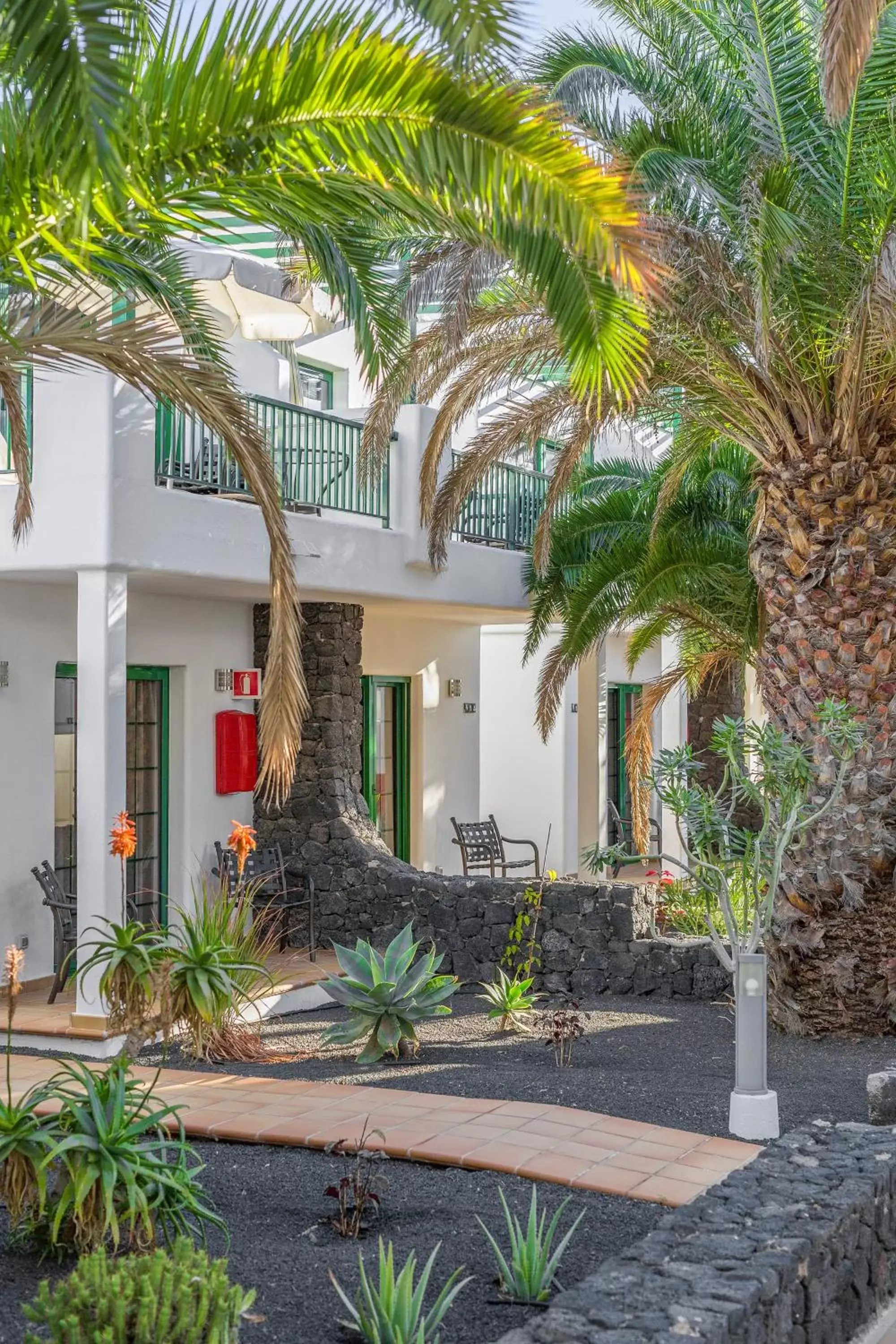 Garden, Property Building in Club del Carmen