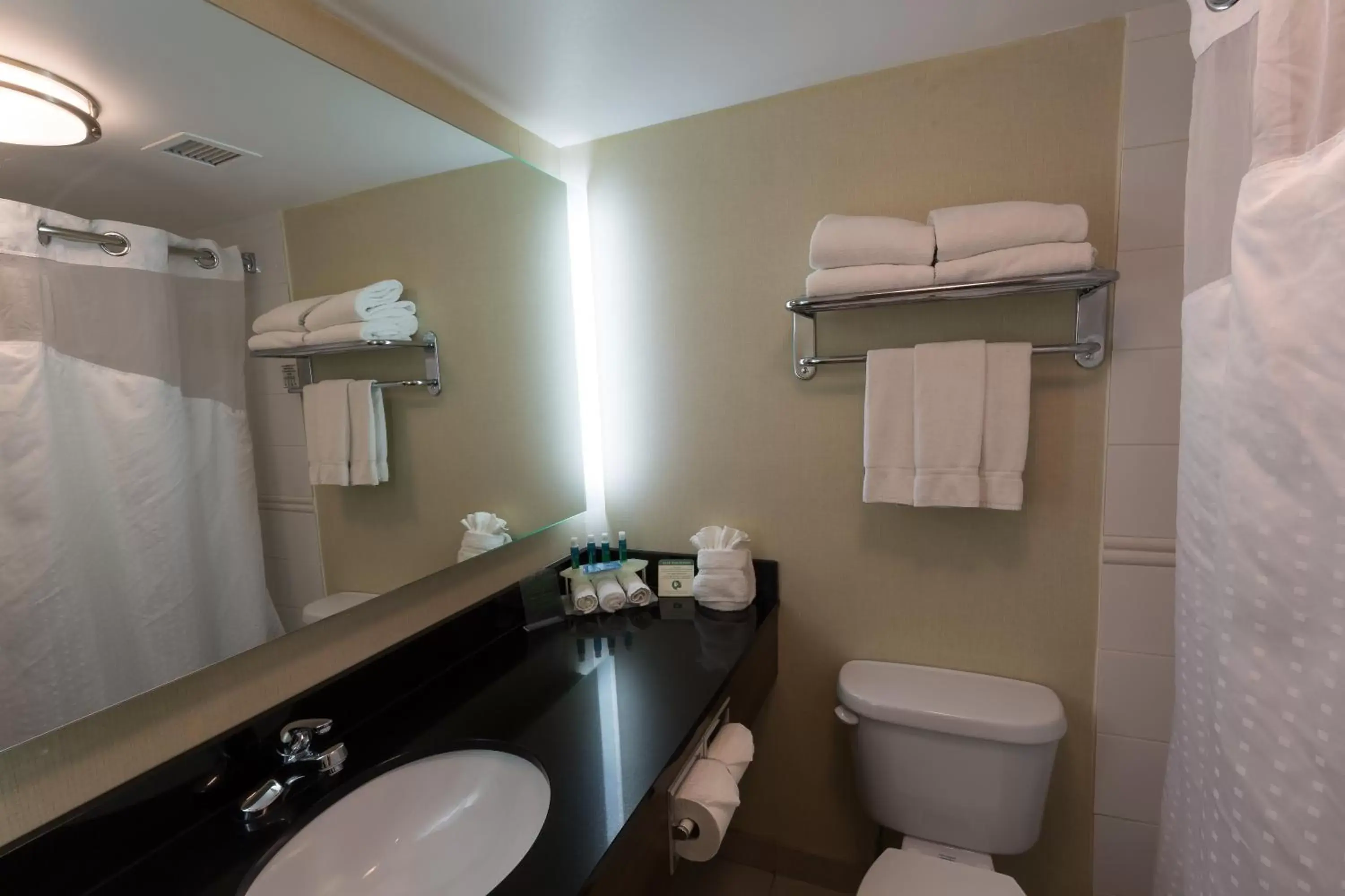 Photo of the whole room, Bathroom in Holiday Inn Express Edmonton Downtown, an IHG Hotel