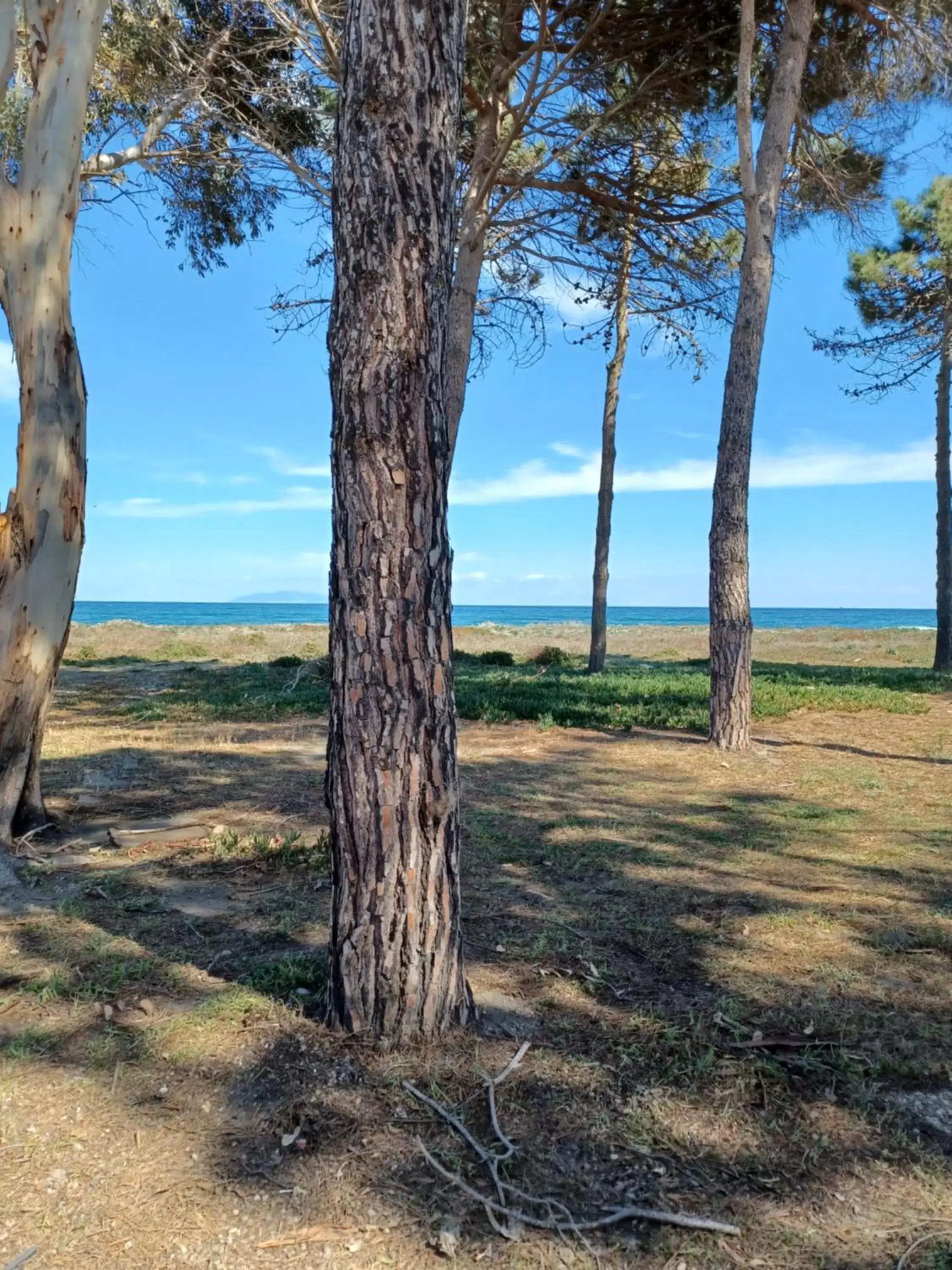 Natural landscape in Oro Biancu