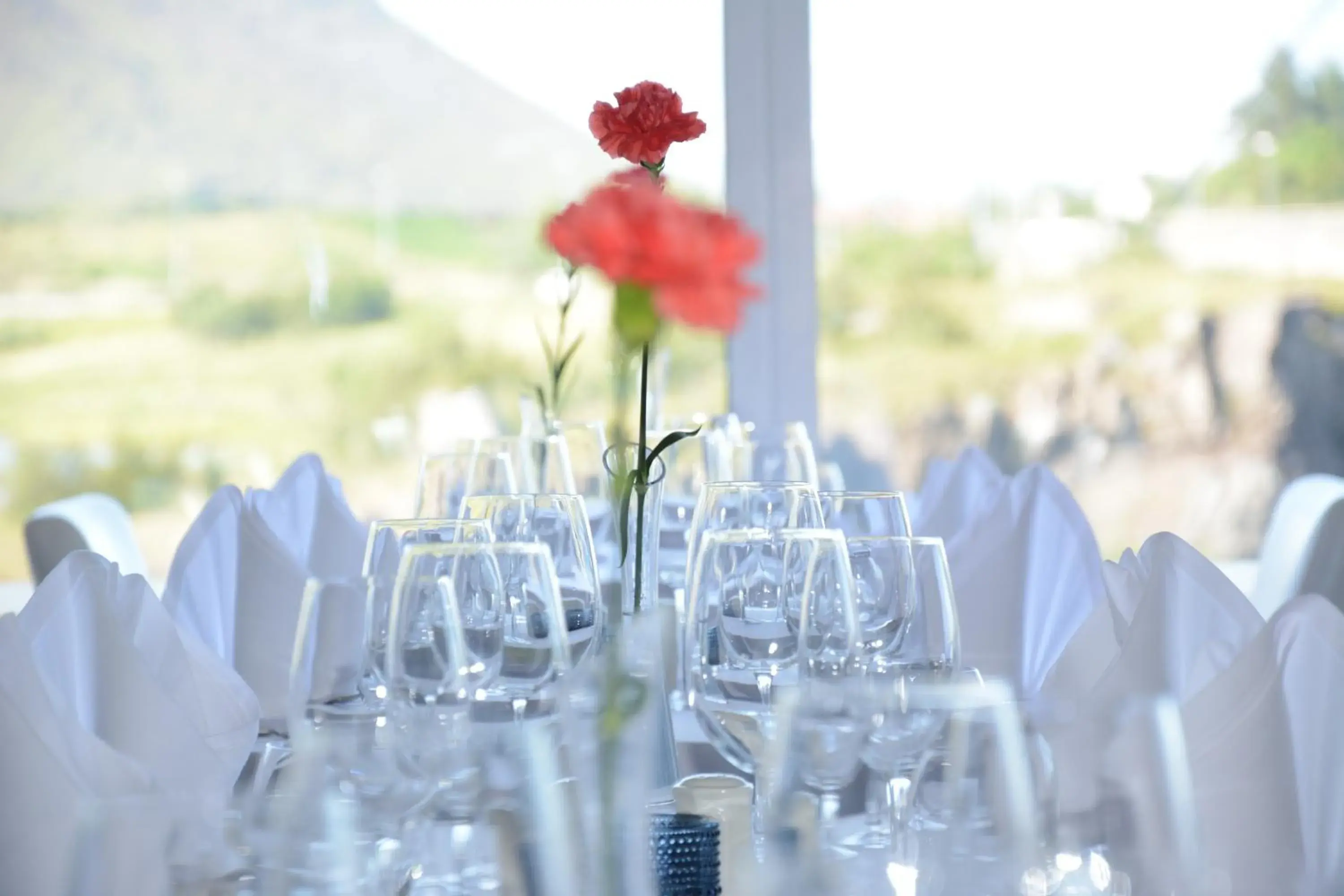 Restaurant/places to eat, Banquet Facilities in Hotel Selfoss & Spa