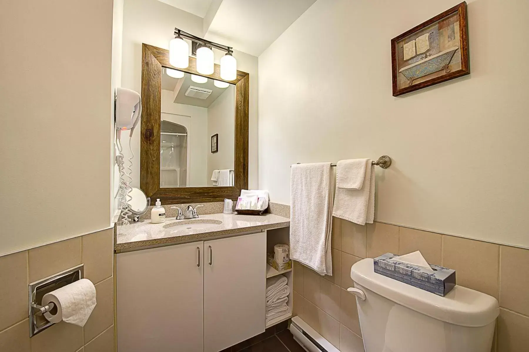 Bathroom in Hotel Vacances Tremblant