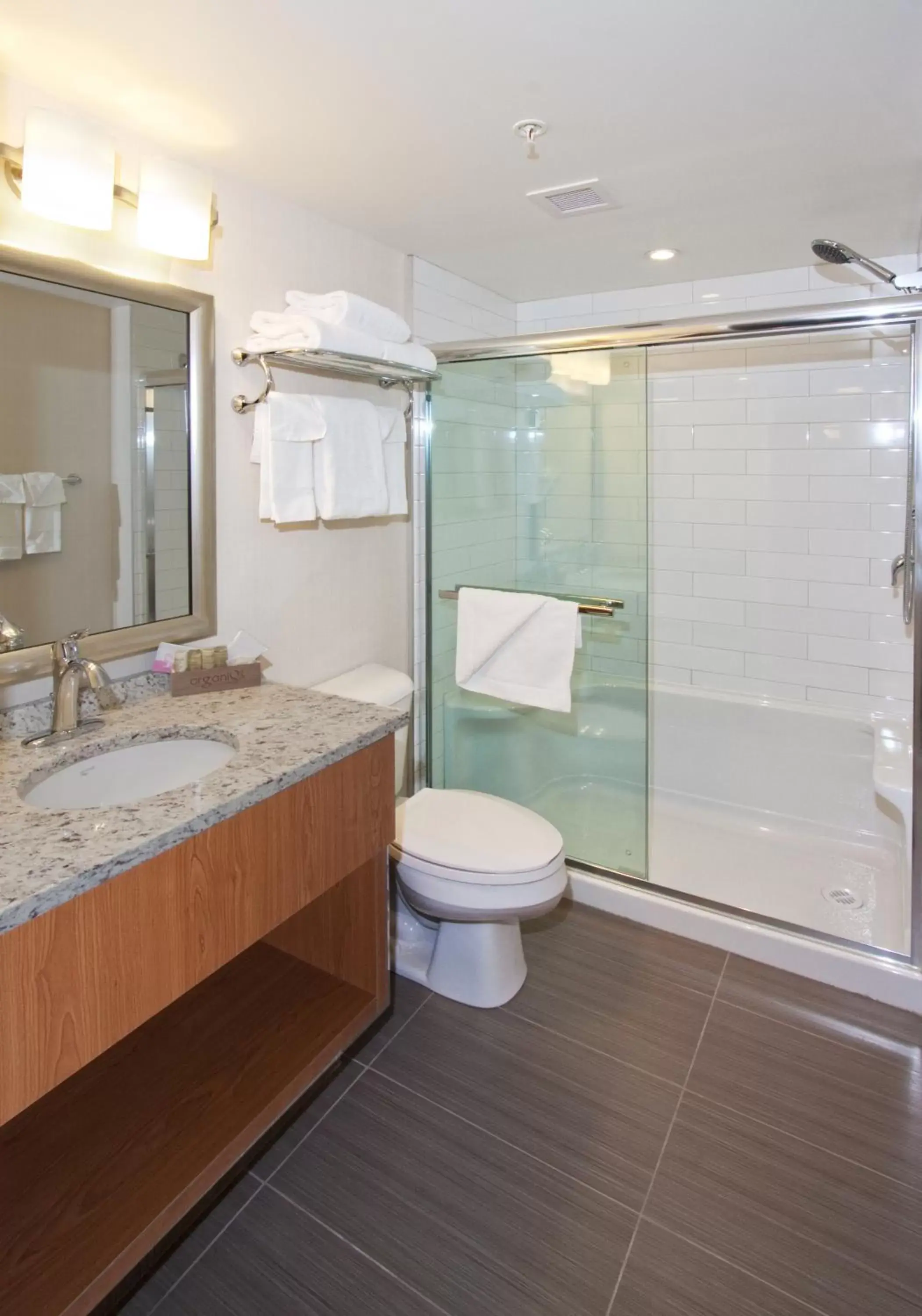 Bathroom in The Crimson Jasper