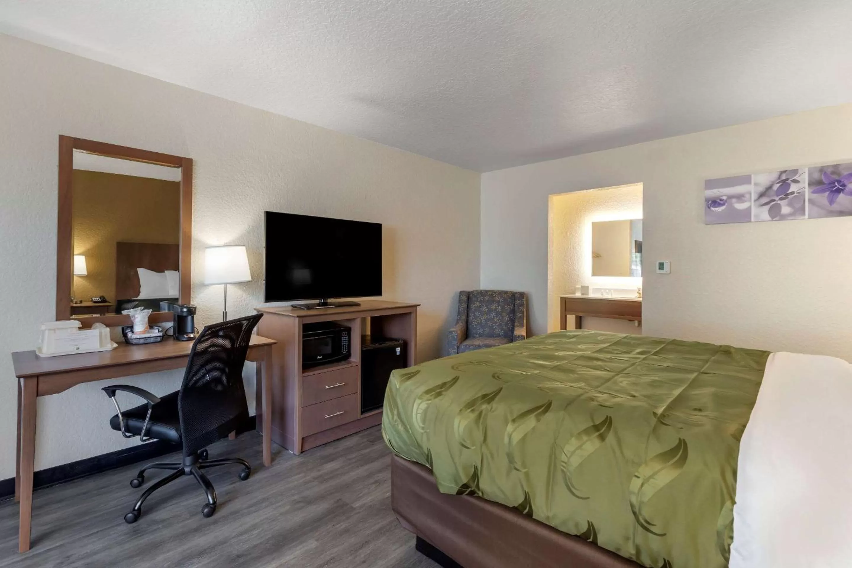 Photo of the whole room, Bed in Quality Inn Saint Petersburg North-Tampa Bay