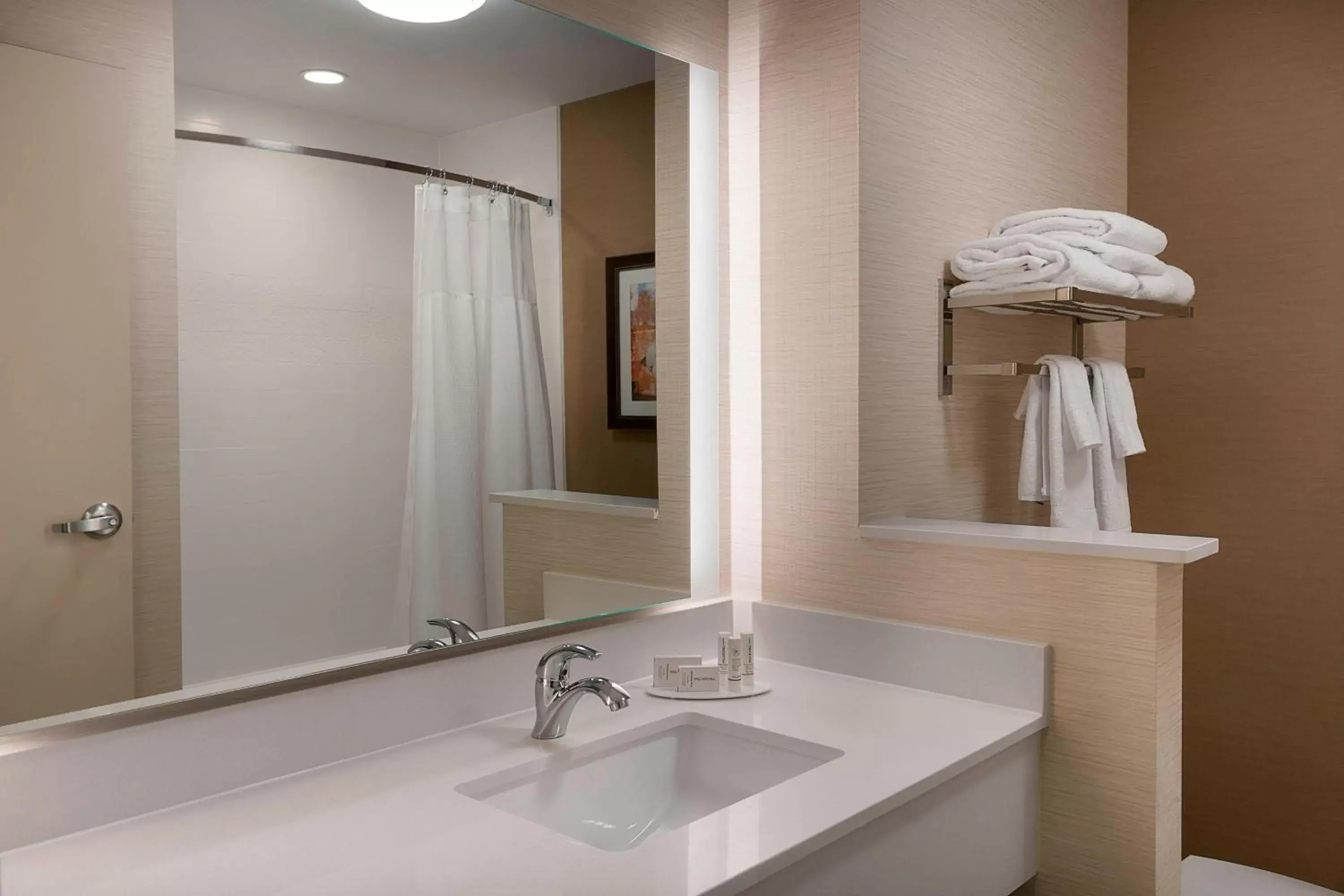 Bathroom in Fairfield Inn & Suites by Marriott Rock Hill