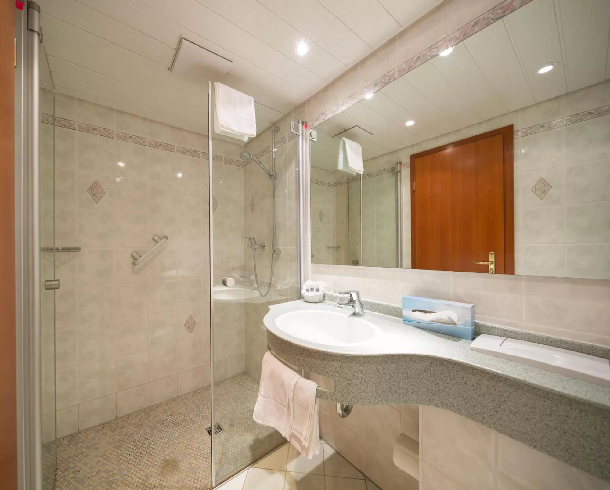 Shower in Hotel Hörterer Der Hammerwirt