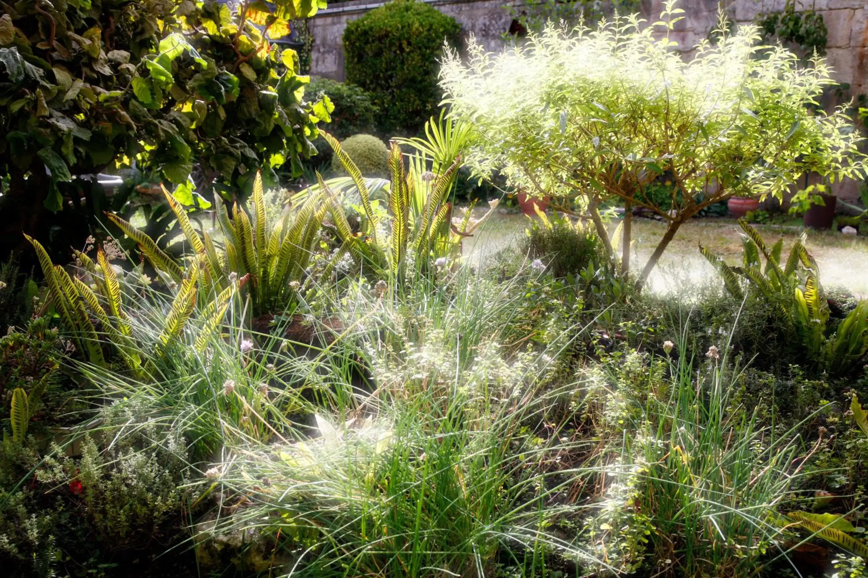 Decorative detail, Garden in La Porte Rouge - The Red Door Inn