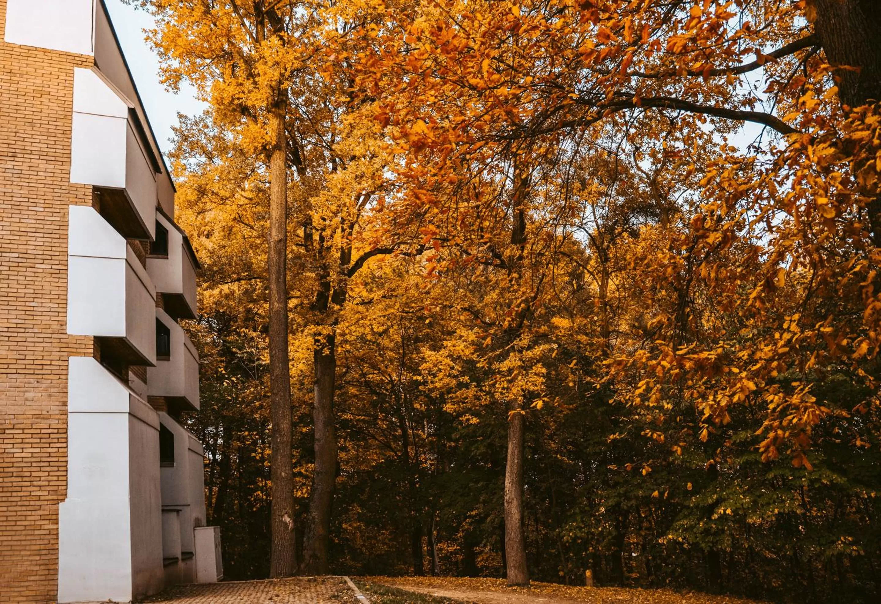 Property building in Forest Hotel