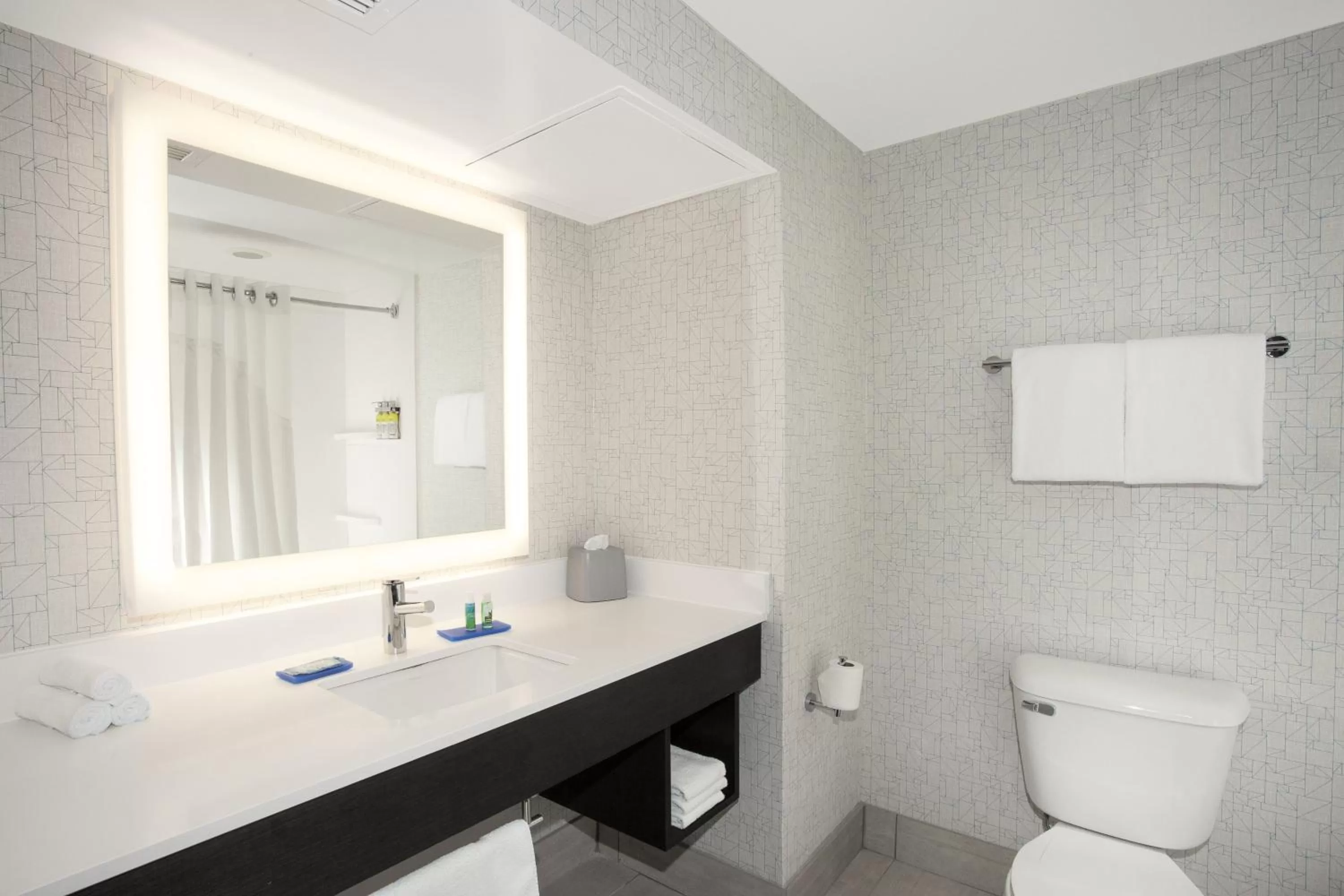 Bathroom in Holiday Inn Express & Suites Culpeper by IHG