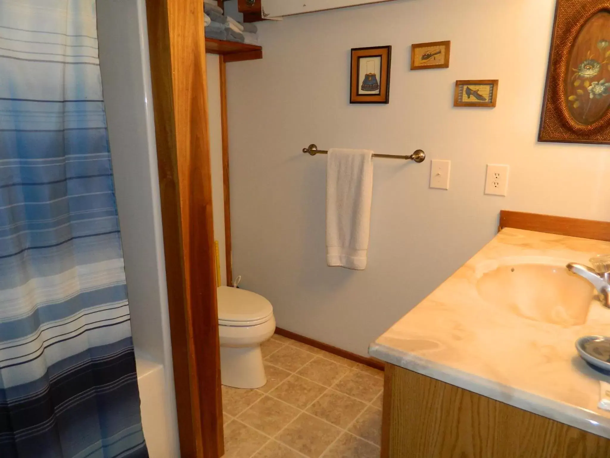 Toilet, Bathroom in Bent Mountain Lodge Bed And Breakfast, Inc.