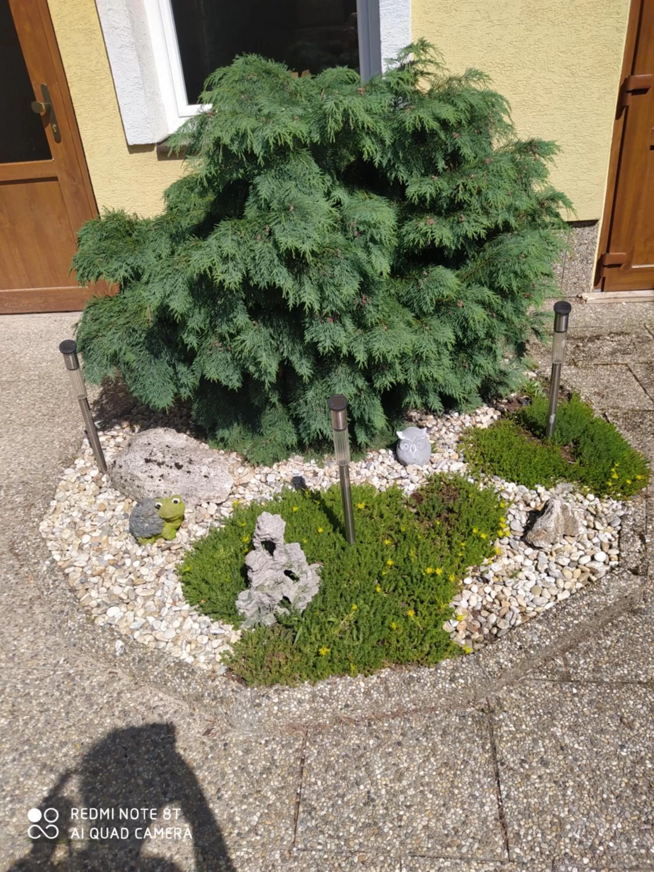 Garden in Ubytovanie Athéna