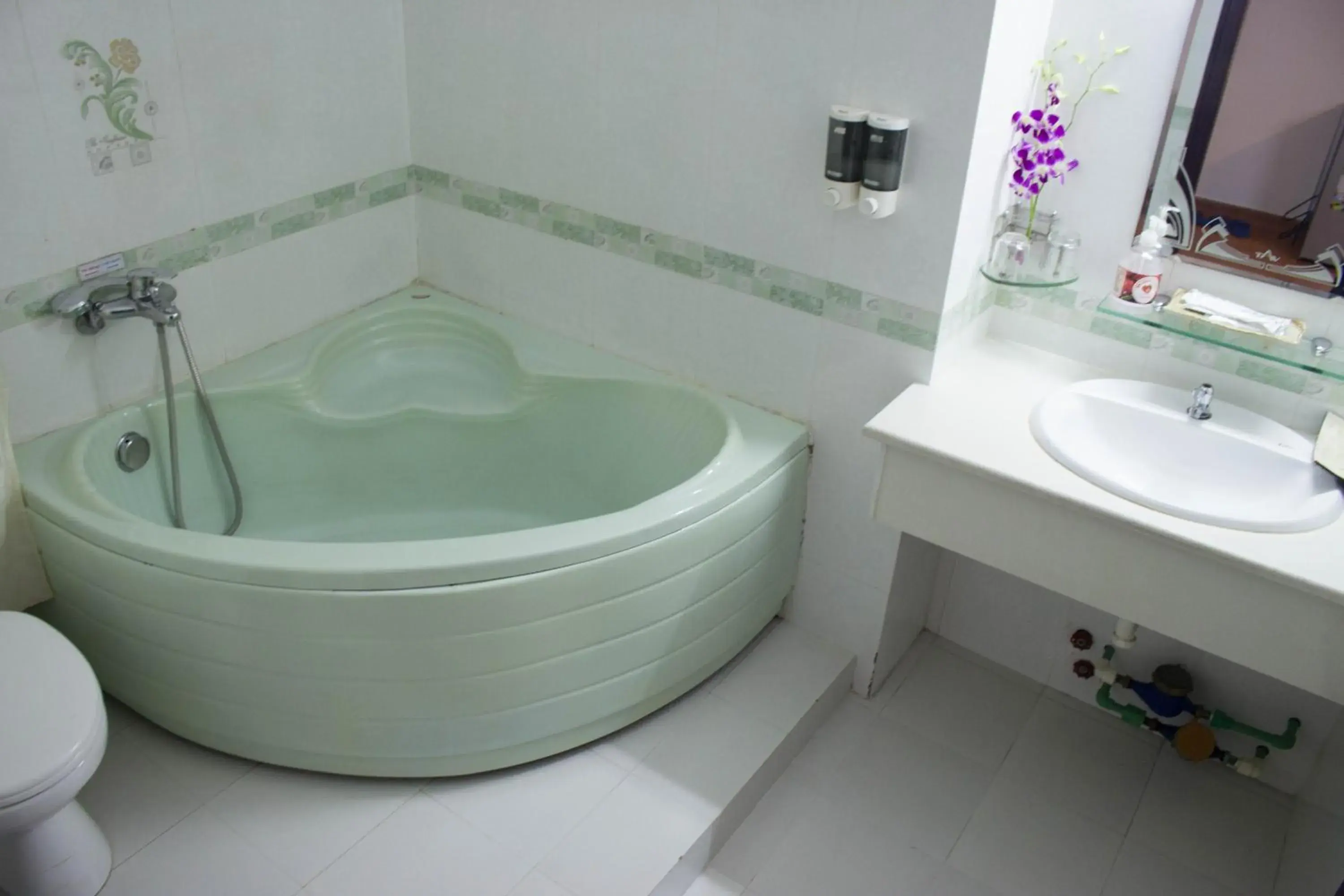 Hot Tub, Bathroom in Hoa Phat Hotel & Apartment