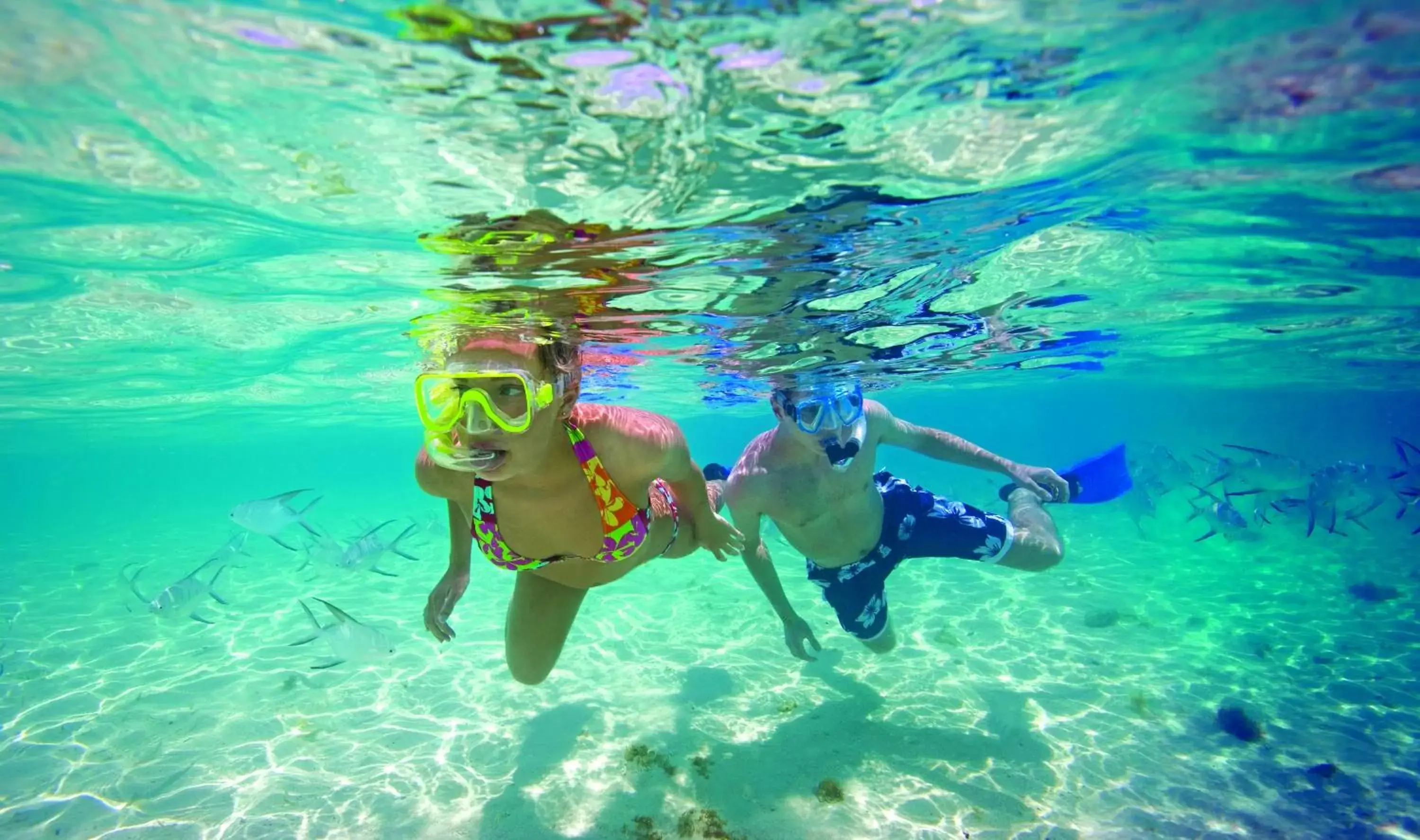 Beach, Snorkeling/Diving in Allegro Cozumel All-Inclusive