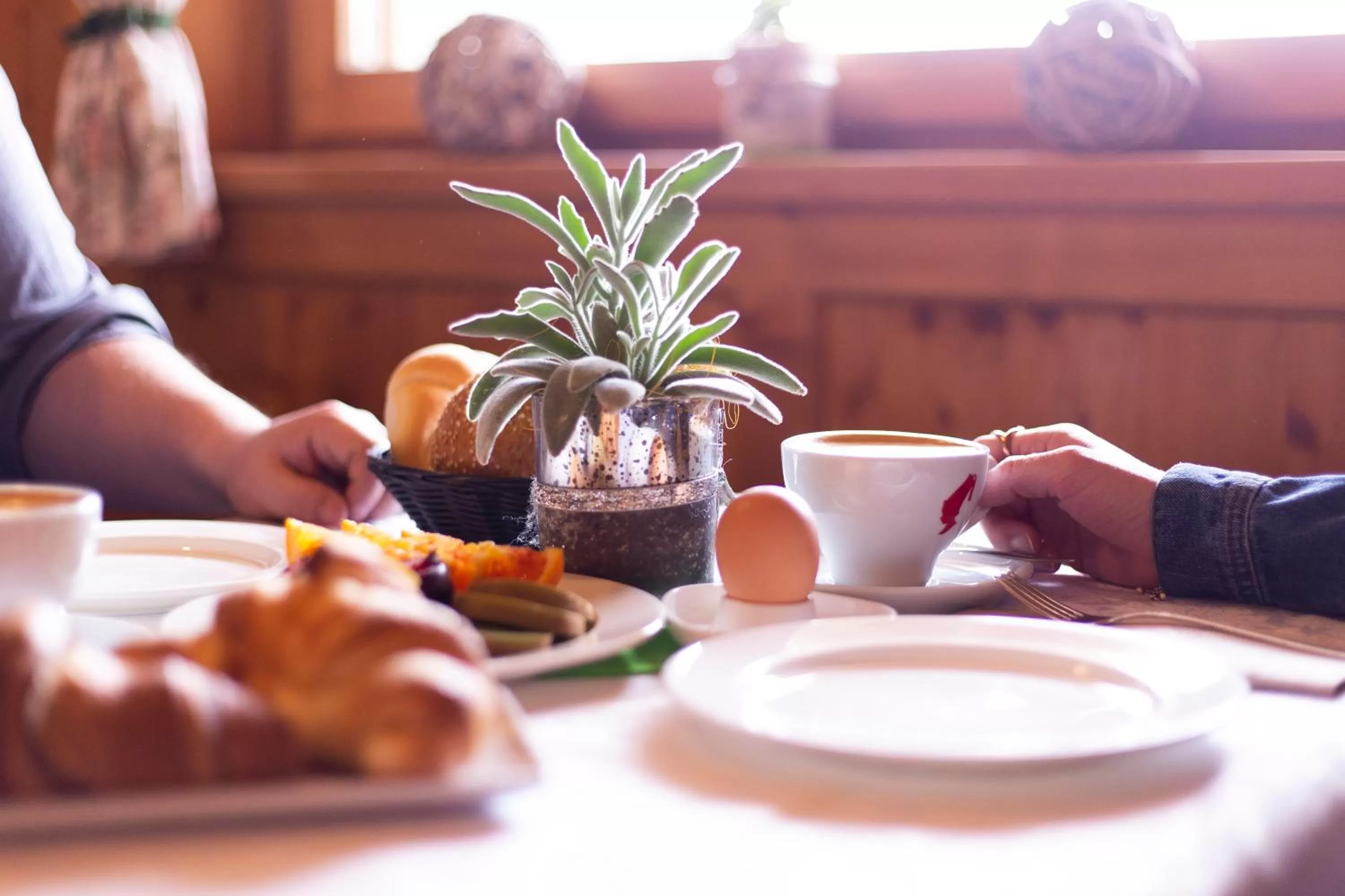 Food and drinks in Almhotel Bergerhof