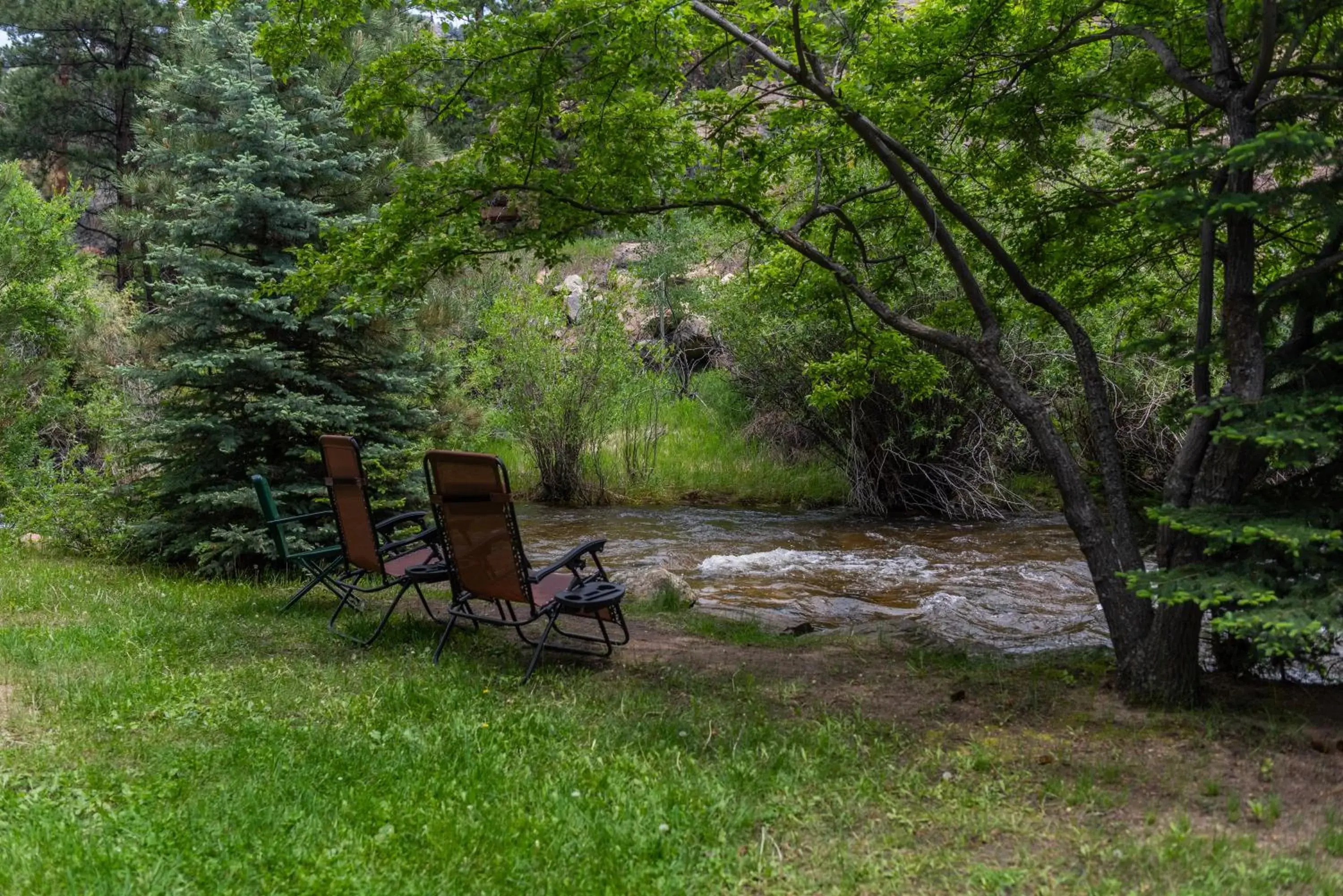 Garden in Ponderosa Lodge