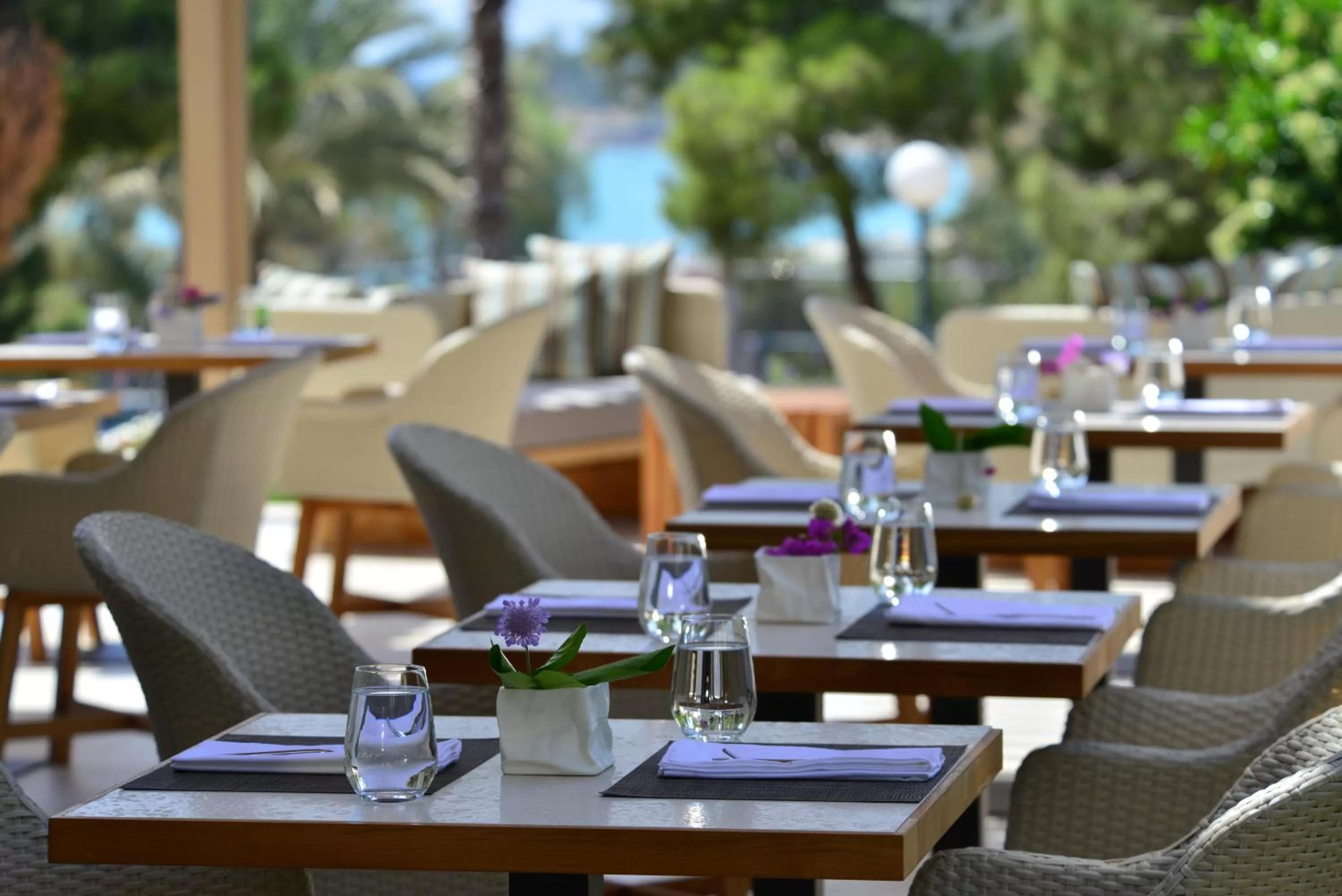 Restaurant/places to eat in Somewhere Vouliagmeni