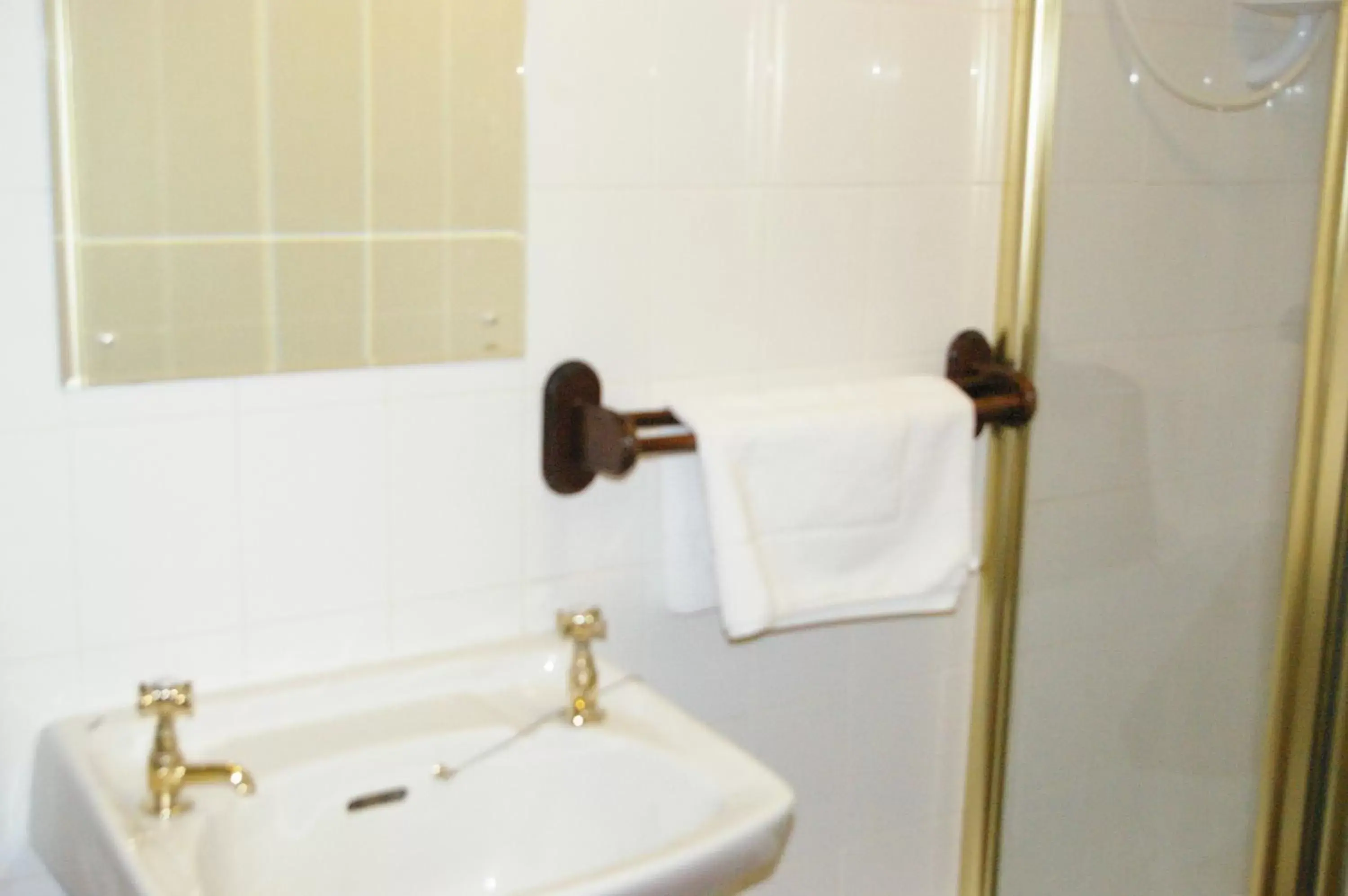 Toilet, Bathroom in Plas Coch Hotel Ltd