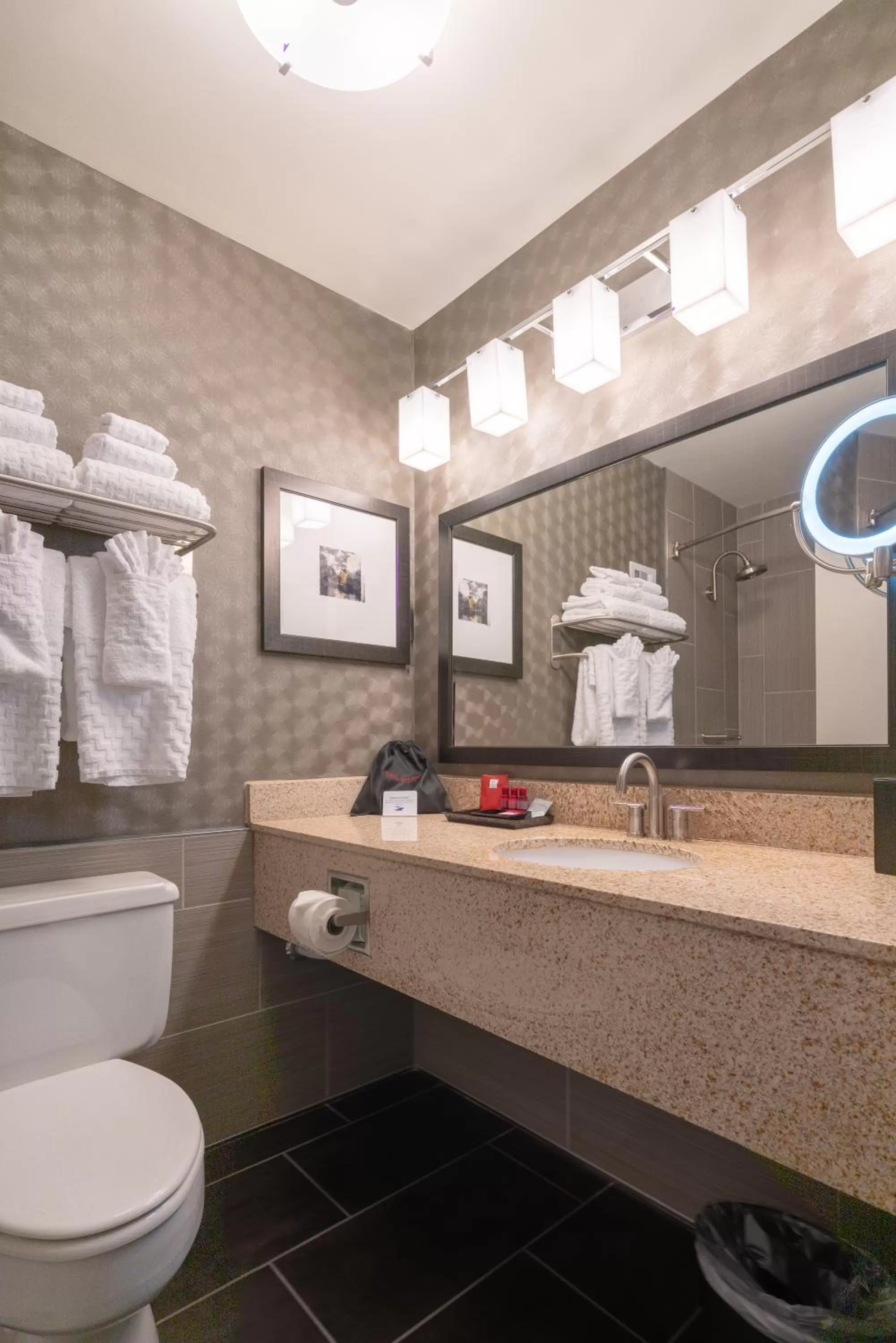 Shower in Best Western Premier Airport/Expo Center Hotel