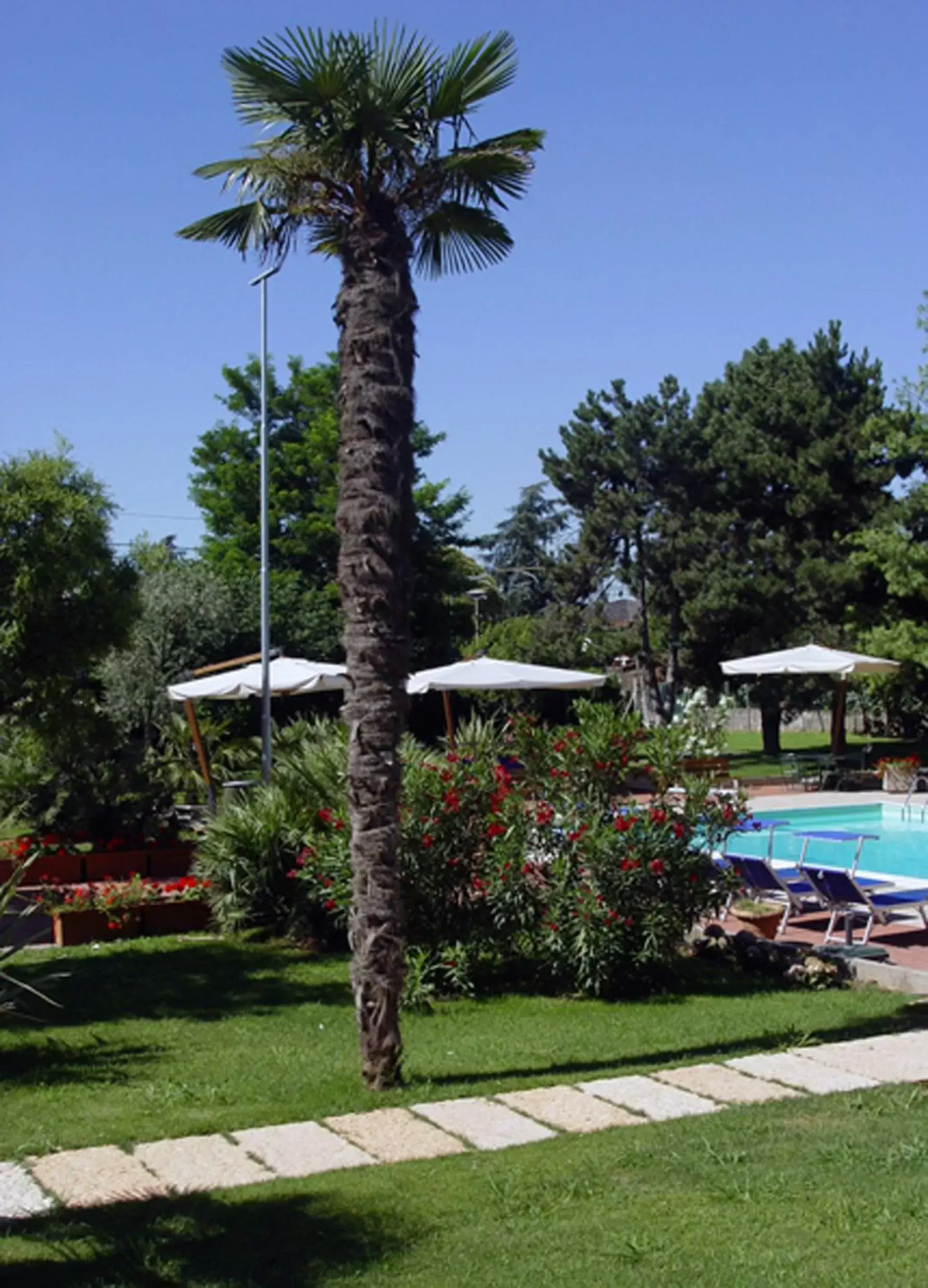 Garden, Swimming Pool in Best Western Plus Soave Hotel